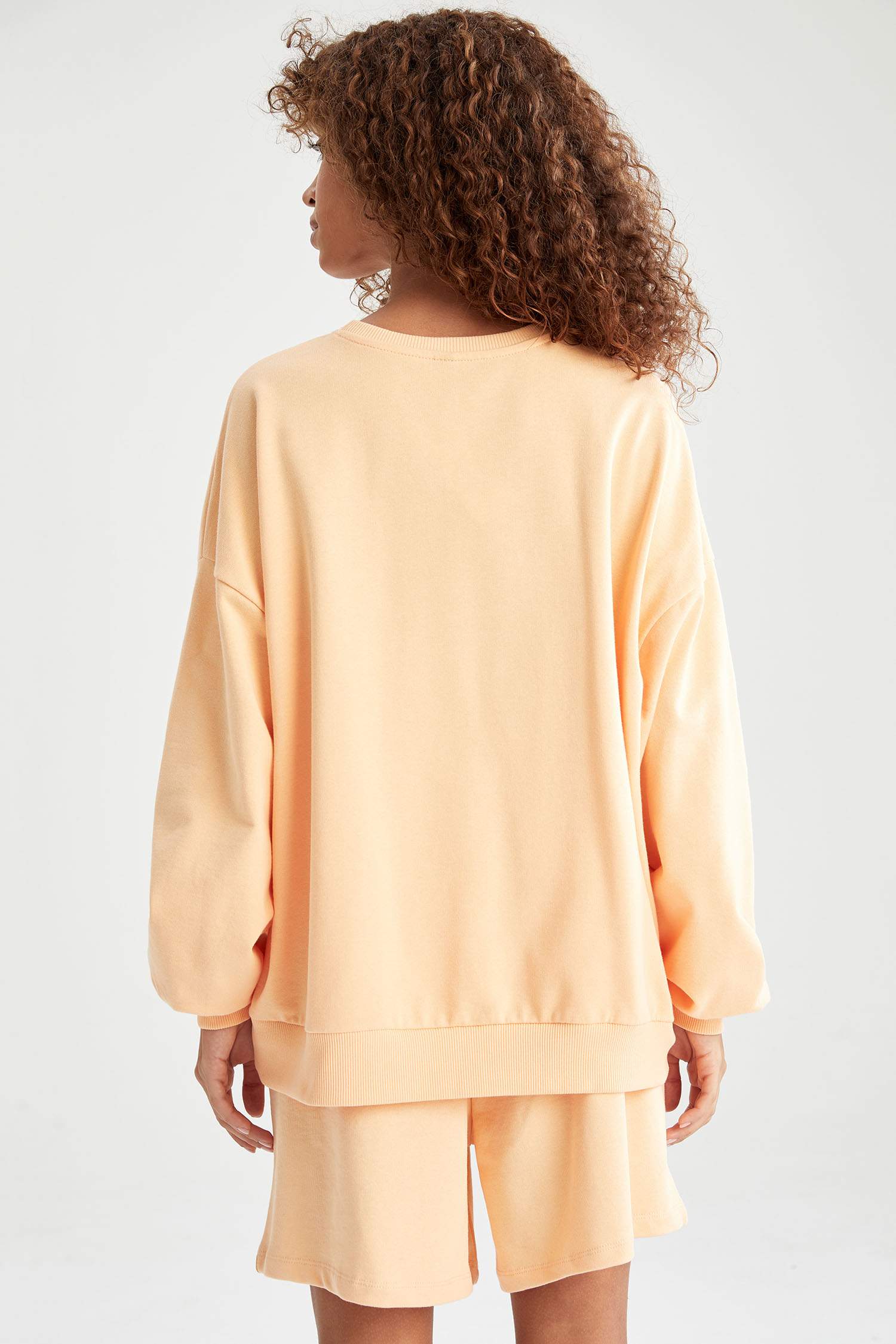 Baskılı Bisiklet Yaka Regular Fit Sweatshirt
