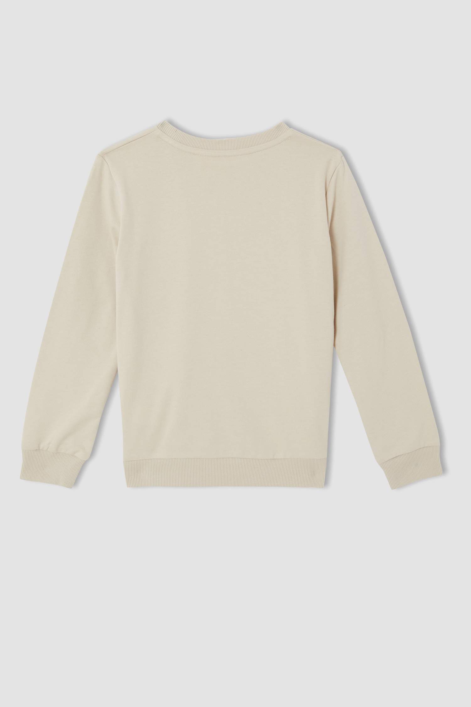 Erkek Çocuk Looney Tunes Lisanslı Regular Fit Lisanslı Bisiklet Yaka Sweatshirt