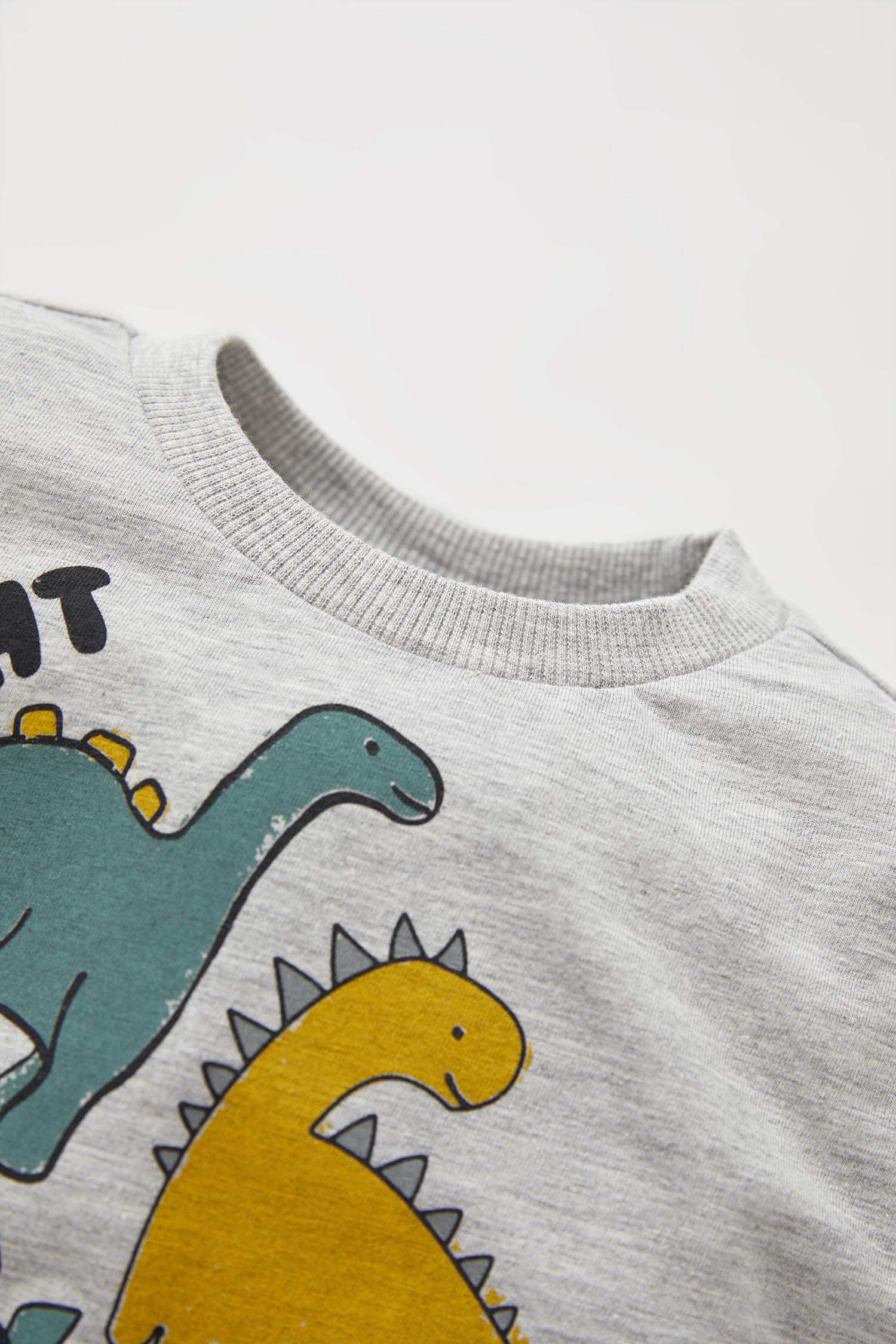 Erkek Bebek Regular Fit Dinozor Baskılı Uzun Kollu Tişört