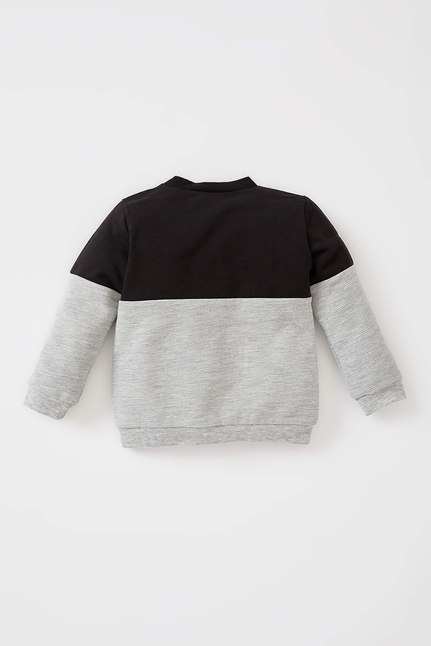 Erkek Bebek Regular Fit Bisiklet Yaka Renk Bloklu Sweatshirt