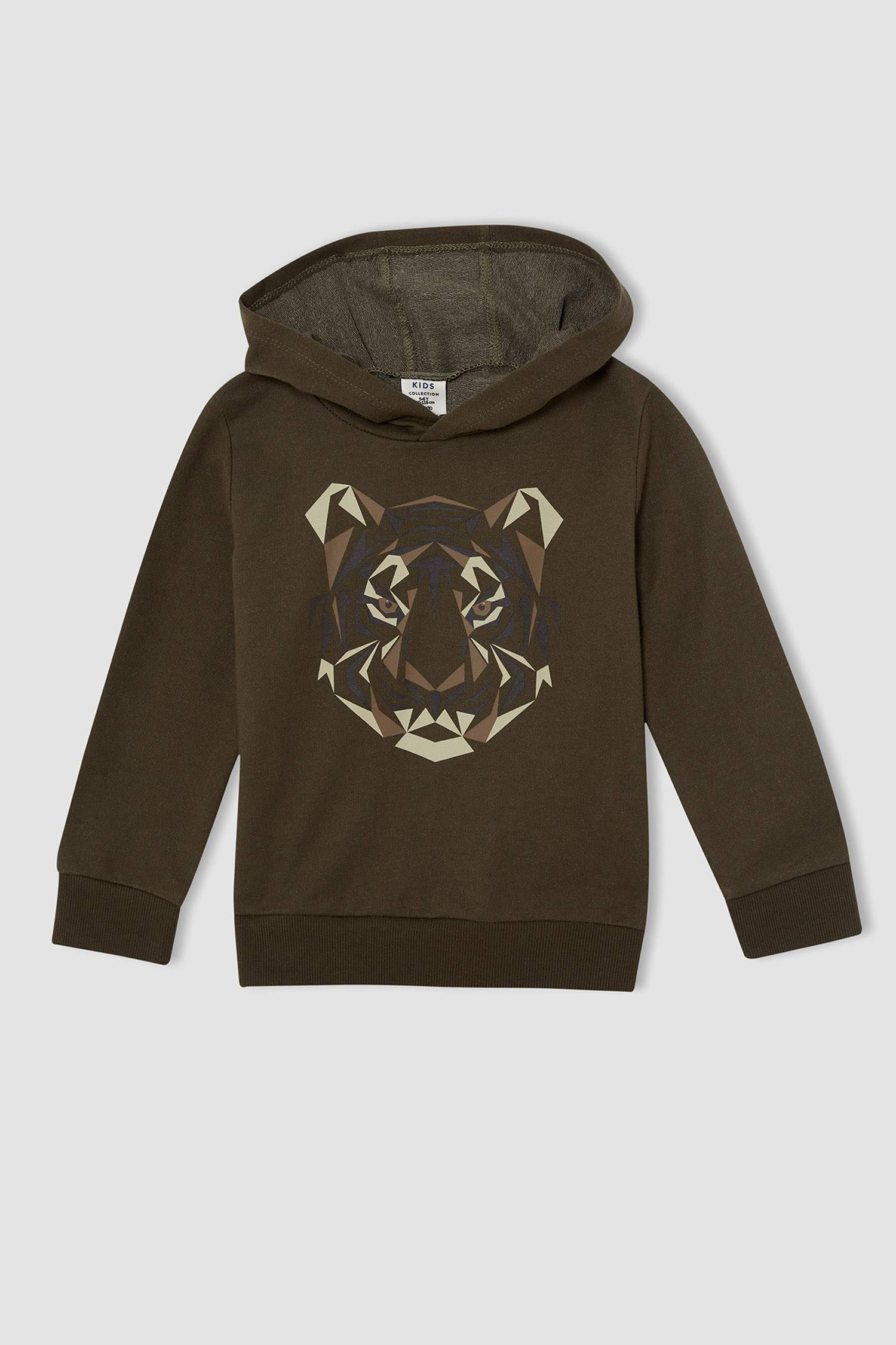 Erkek Çocuk Regular Fit Kaplan Baskılı Kapüşonlu İçi Yumuşak Tüylü Sweatshirt
