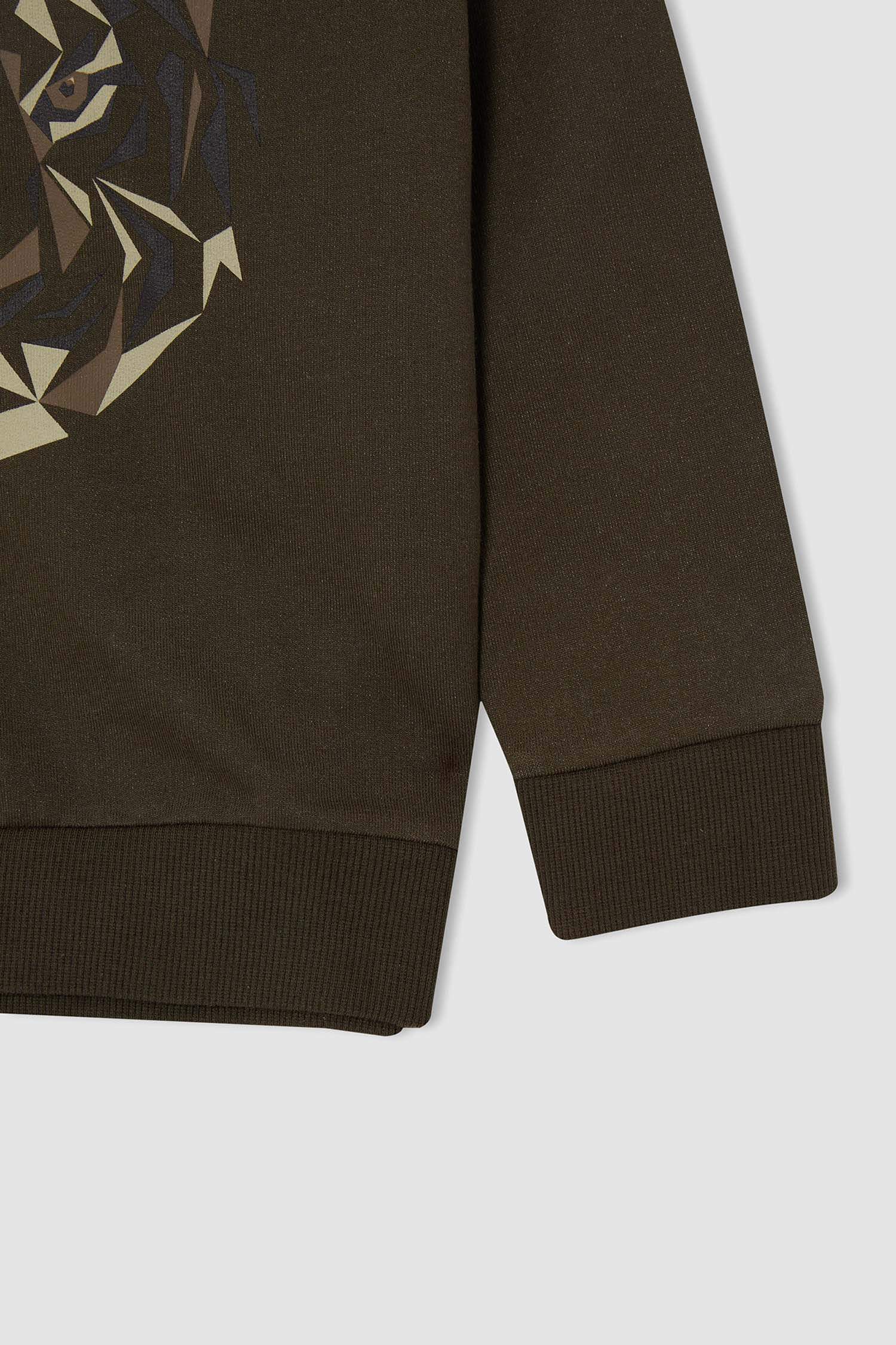 Erkek Çocuk Regular Fit Kaplan Baskılı Kapüşonlu İçi Yumuşak Tüylü Sweatshirt