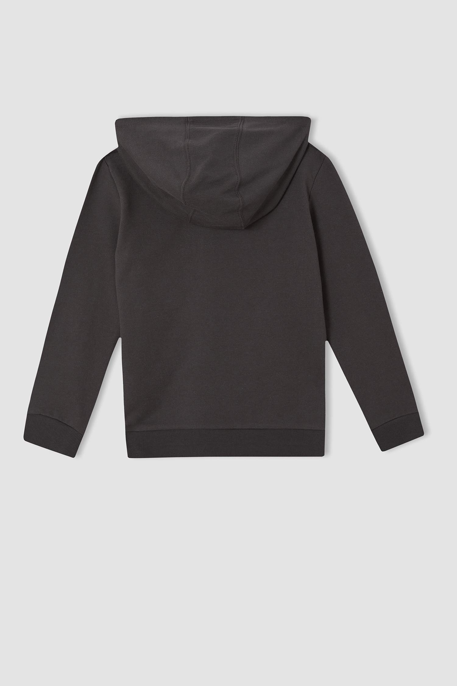 Erkek Çocuk Regular Fit Slogan Baskılı Kapüşonlu Sweatshirt