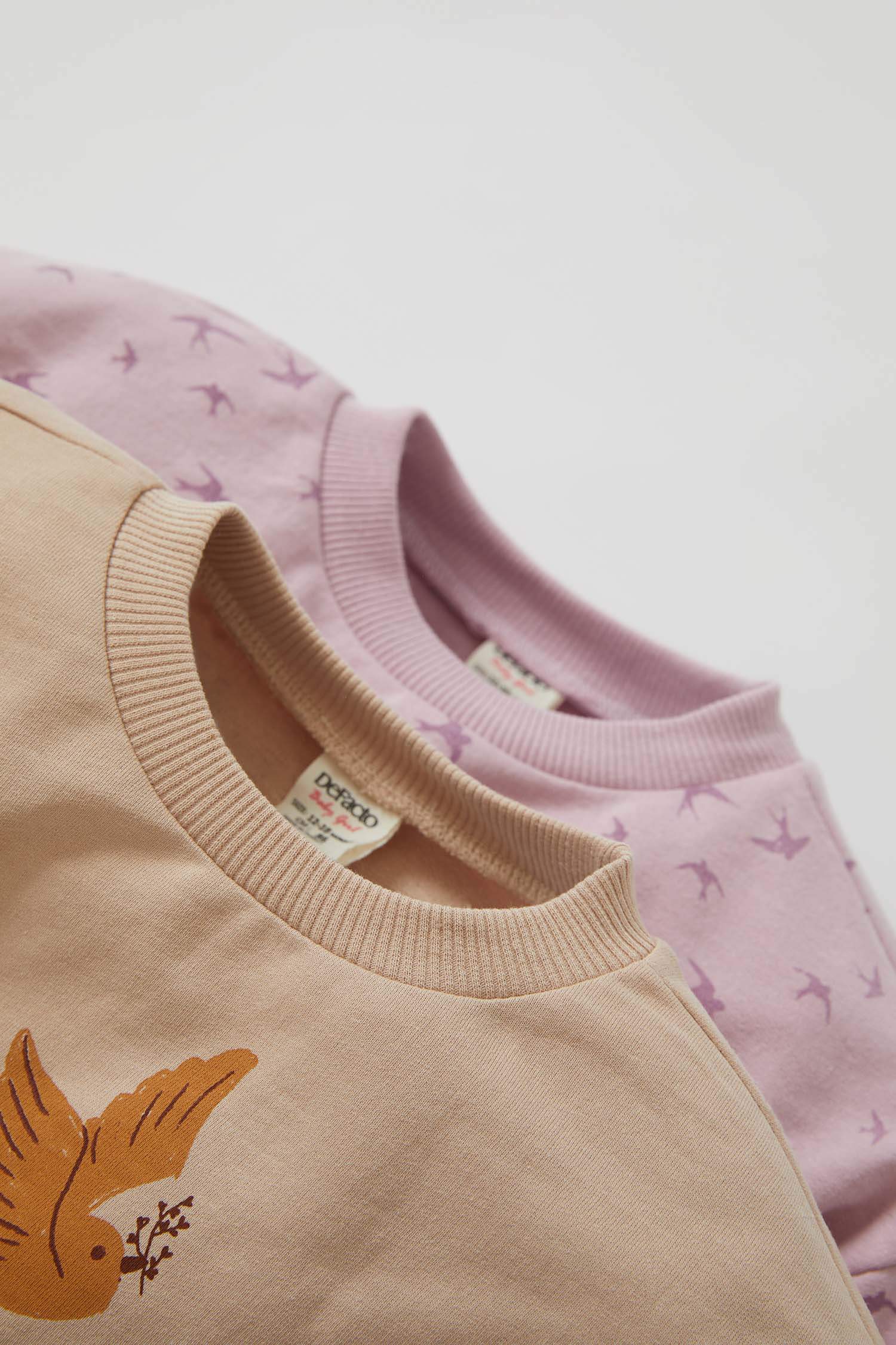 Kız Bebek Regular Fit Kırlangıç Desenli 2'li Bisiklet Yaka Sweatshirt