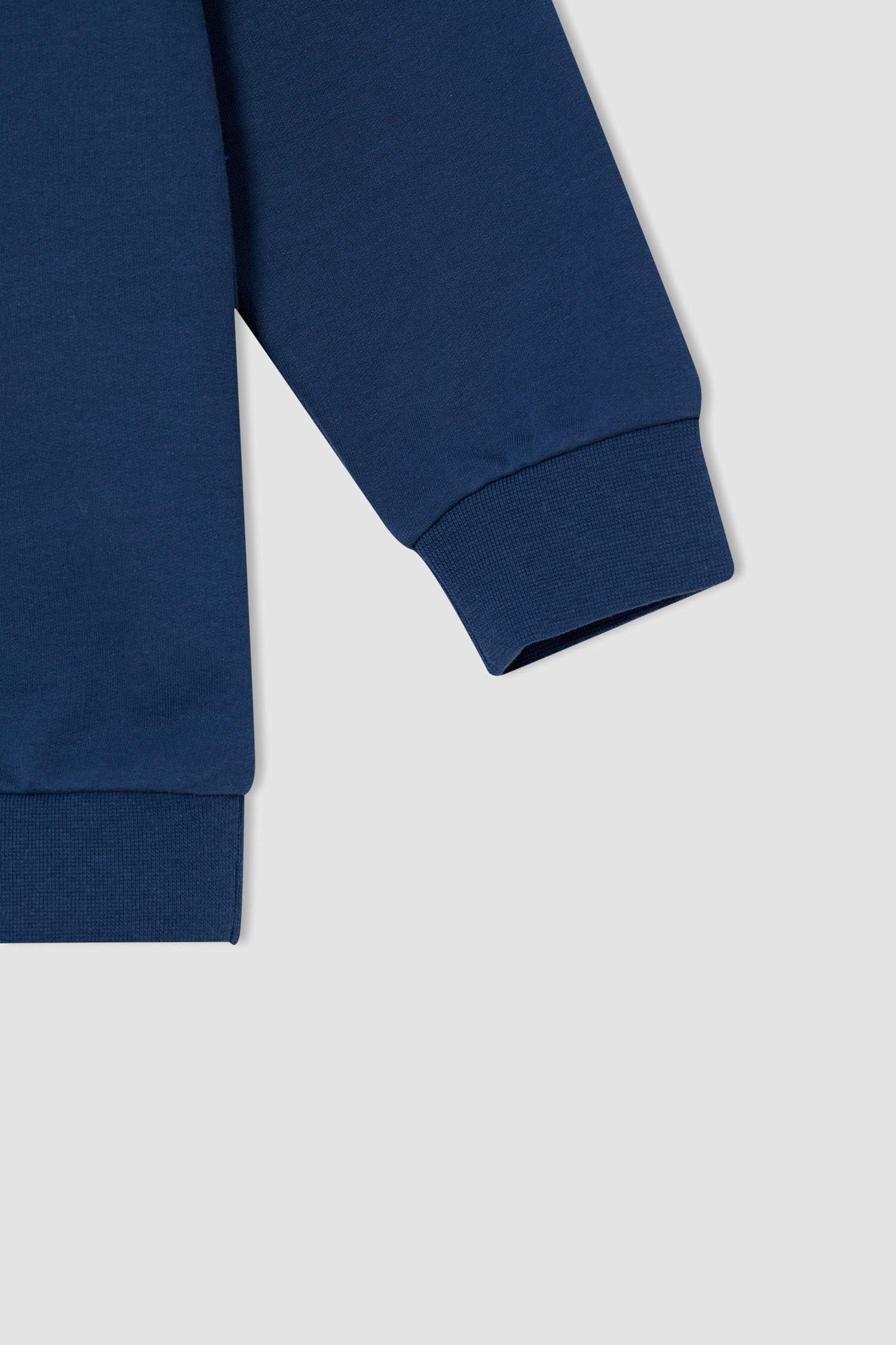 Erkek Çocuk Relax Fit Dinozor Baskılı Kapüşonlu Sweatshirt