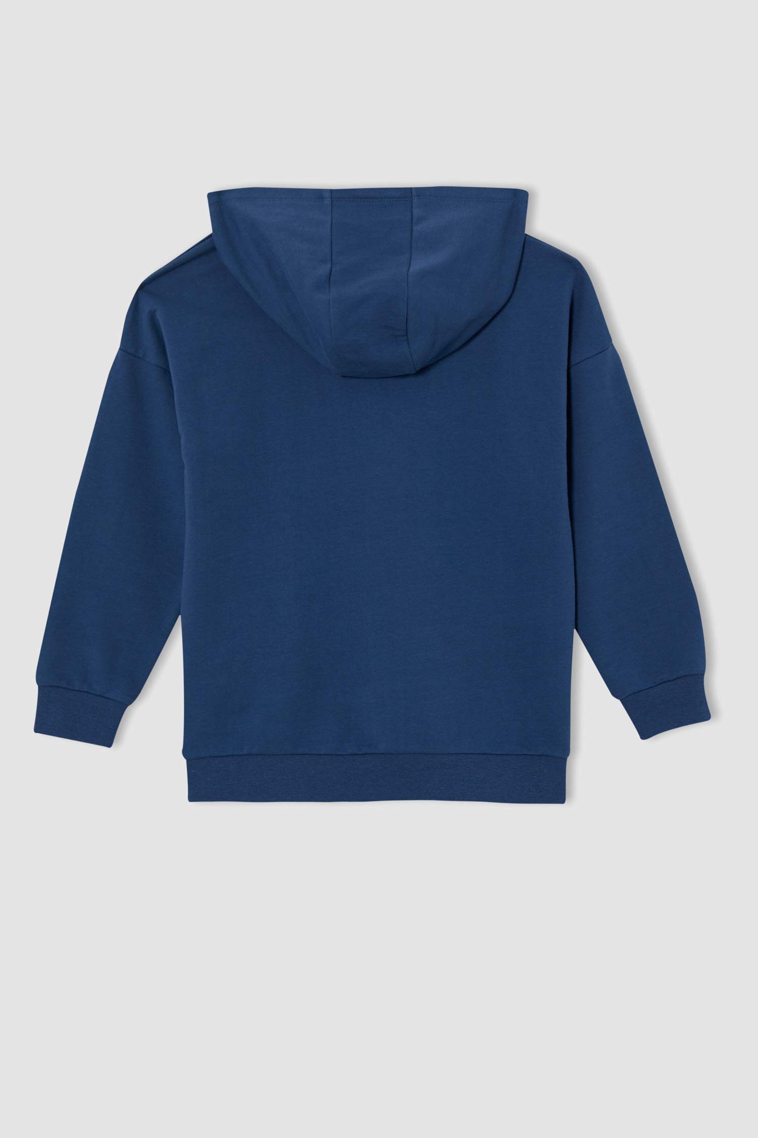 Erkek Çocuk Relax Fit Dinozor Baskılı Kapüşonlu Sweatshirt