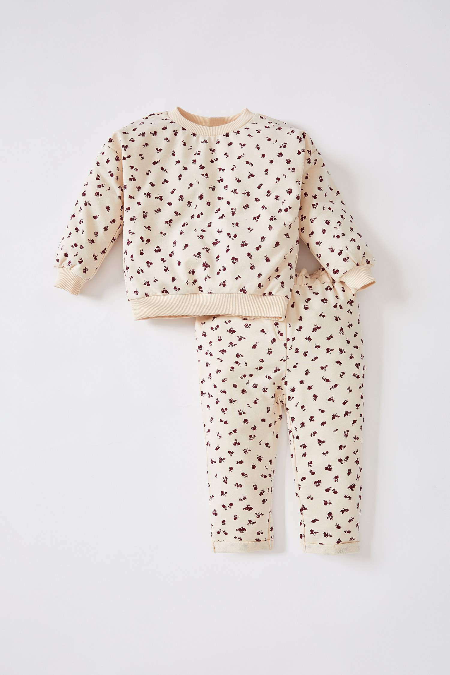 Kız Bebek Regular Fit Desenli 2'li Takım