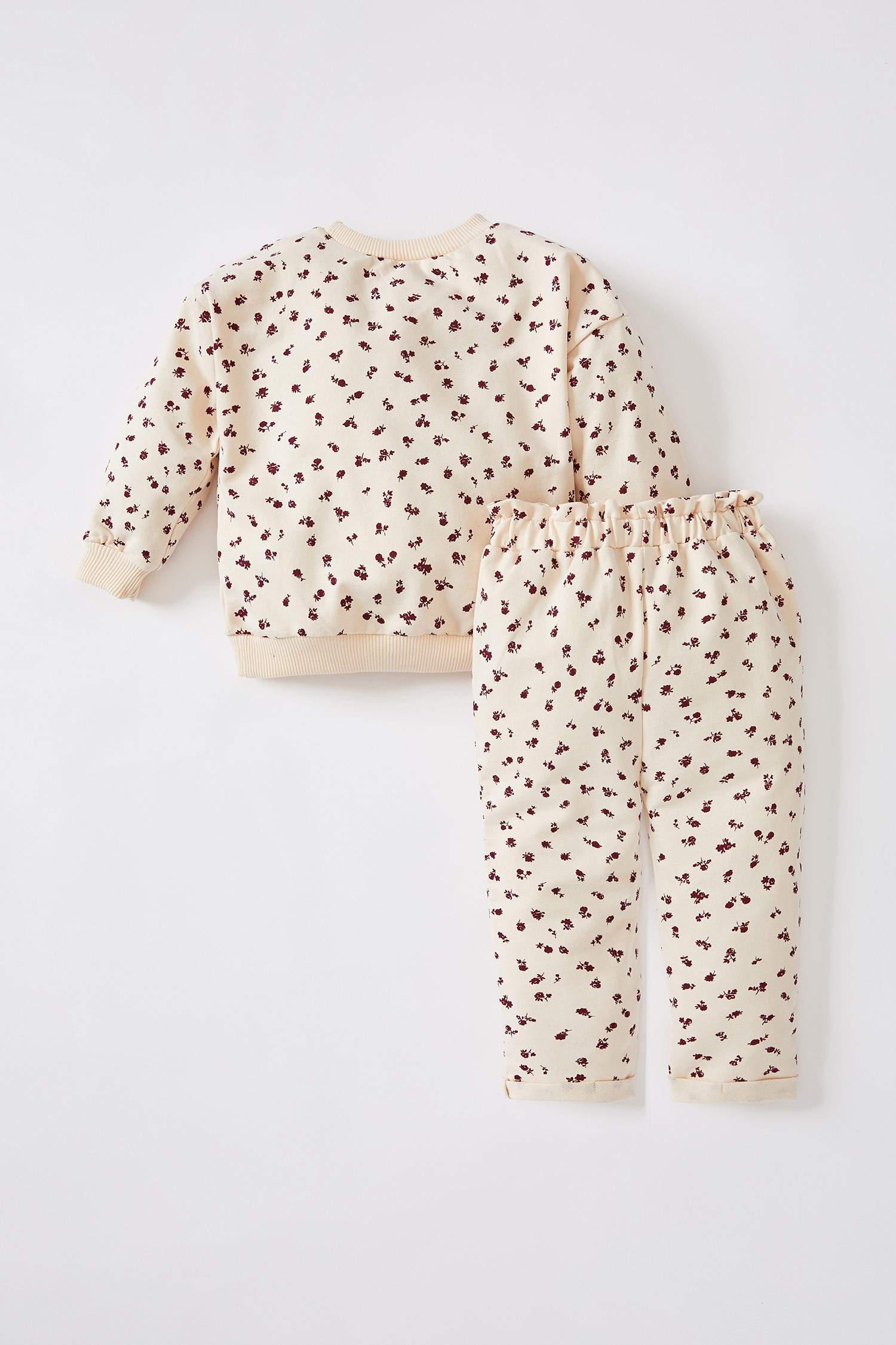Kız Bebek Regular Fit Desenli 2'li Takım