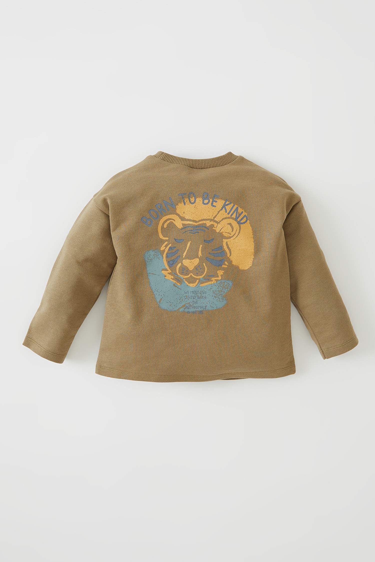 Erkek Bebek Regular Fit Baskılı Sweatshirt