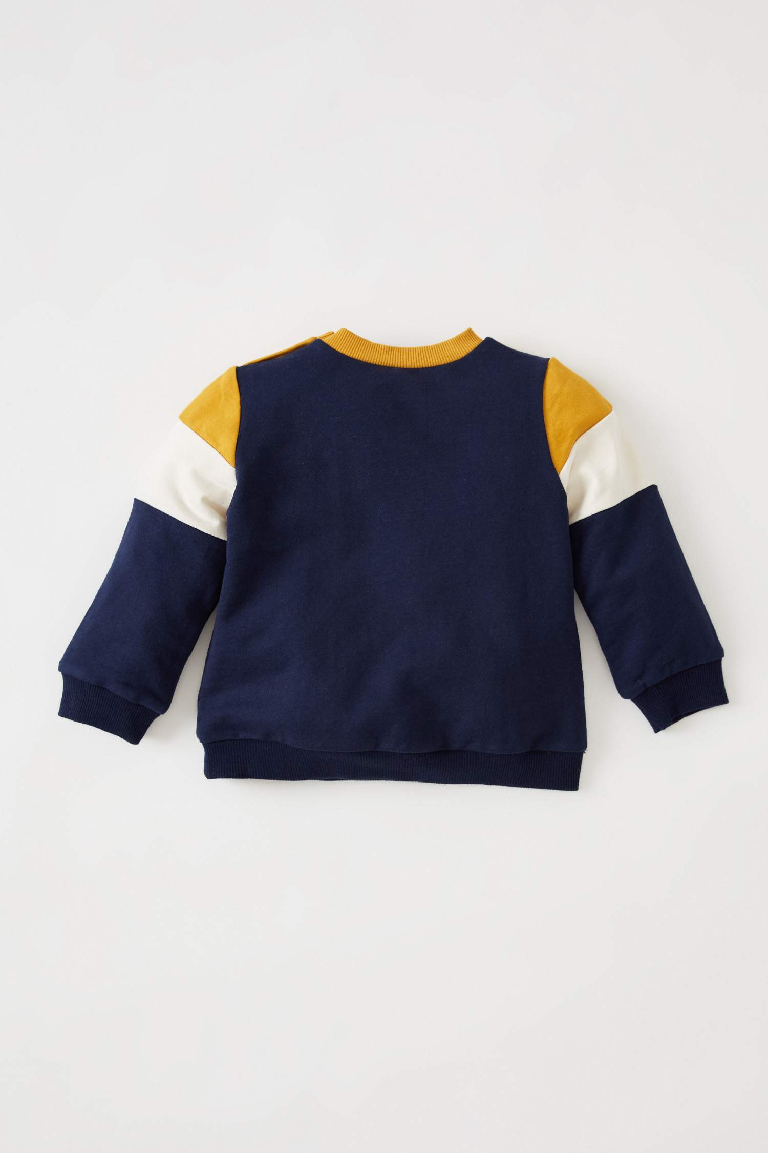 Erkek Bebek Regular Fit Bisiklet Yaka Renk Bloklu Sweatshirt