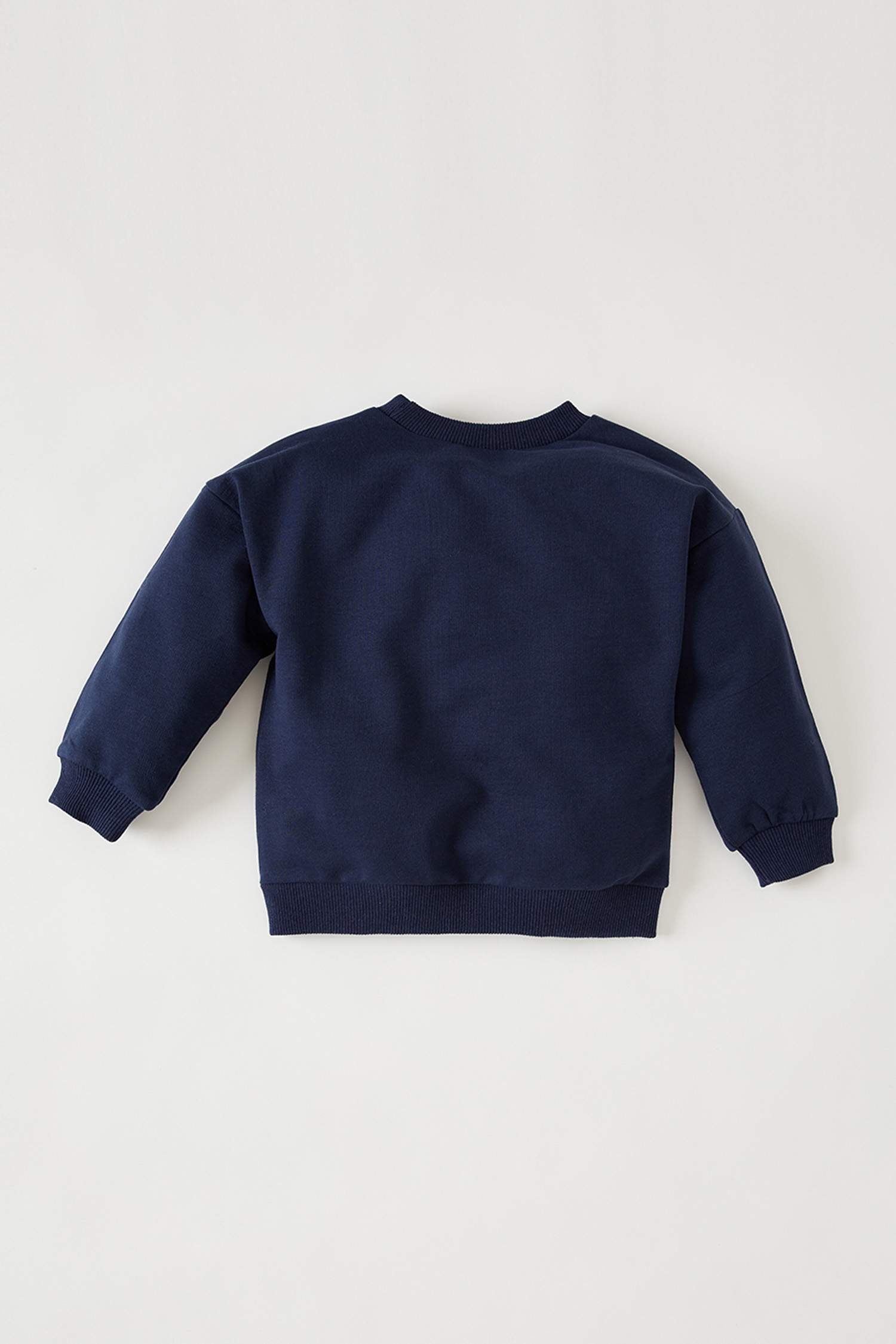 Erkek Bebek Regular Fit Baskılı Sweatshirt