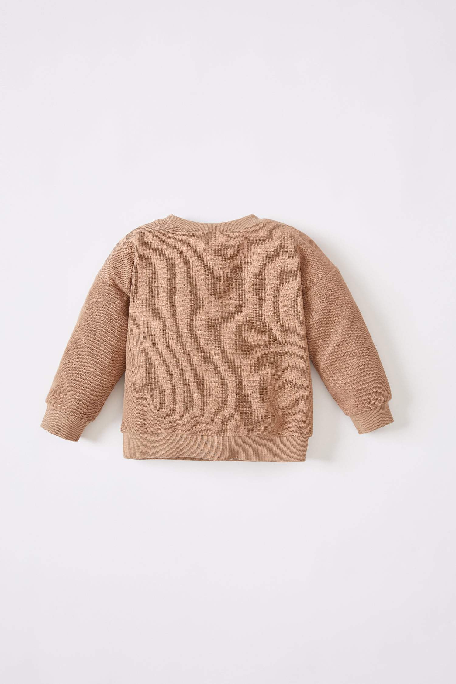 Erkek Bebek Regular Fit Baskılı Sweatshirt