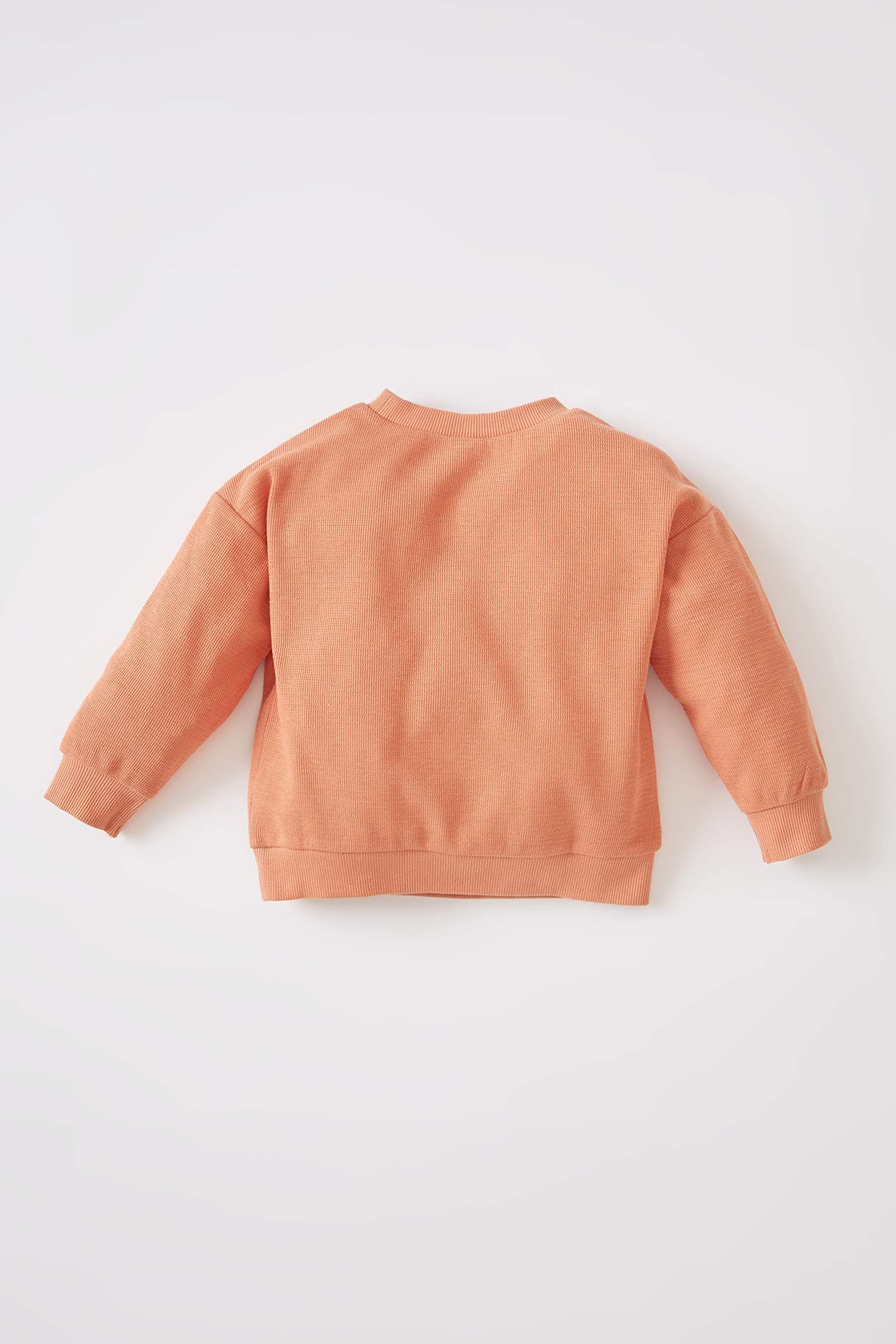 Erkek Bebek Regular Fit Baskılı Sweatshirt