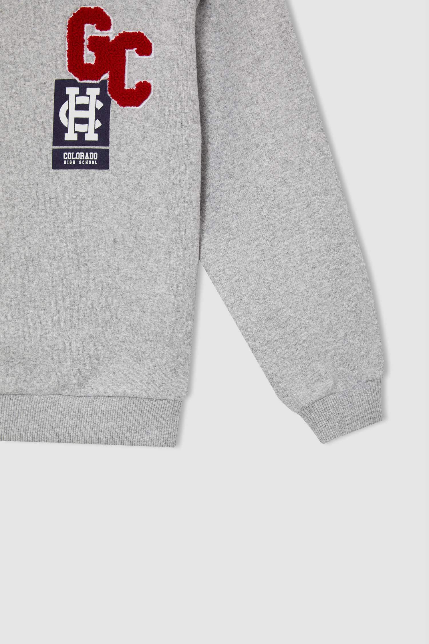 Kız Çocuk Regular Fit Bisiklet Yaka Baskılı Sweatshirt