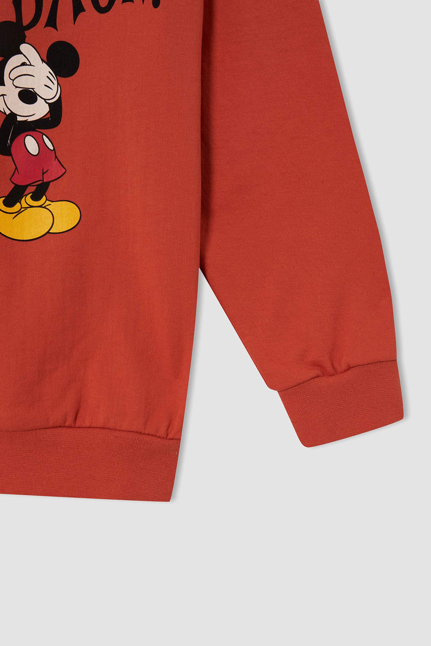 Erkek Çocuk Mickey & Minnie Lisanslı Regular Fit Lisanslı Kapüşonlu Sweatshirt