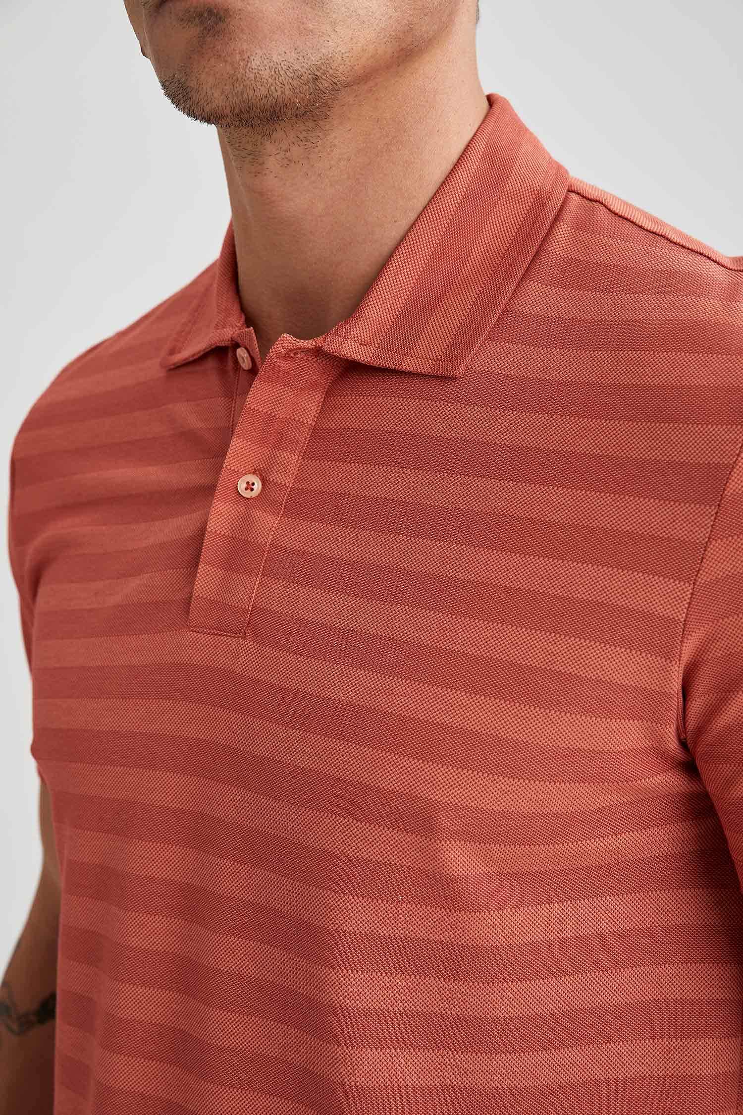 Regular Fit Polo Yaka Çizgi Desenli Kısa Kollu Tişört