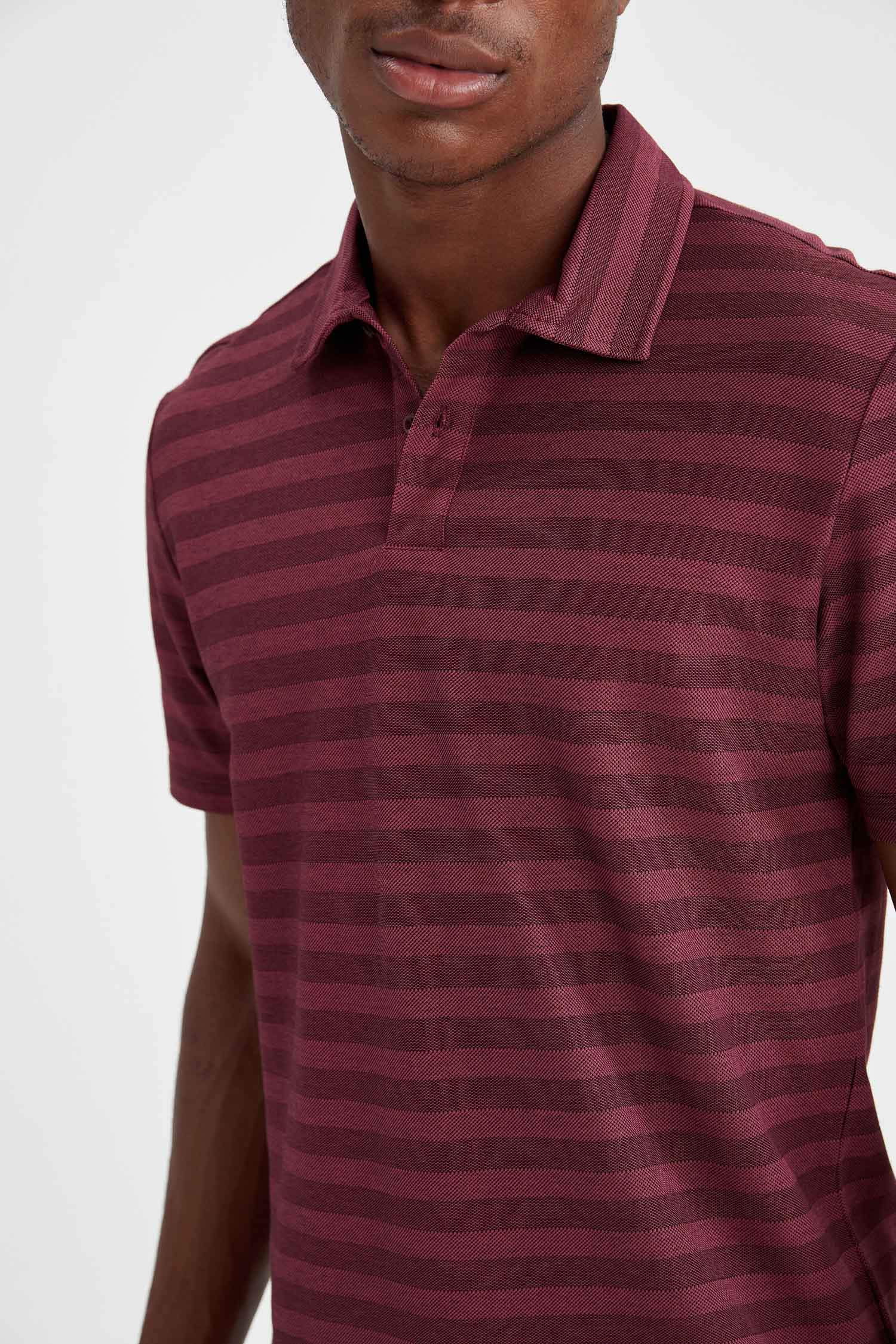 Regular Fit Polo Yaka Çizgi Desenli Kısa Kollu Tişört