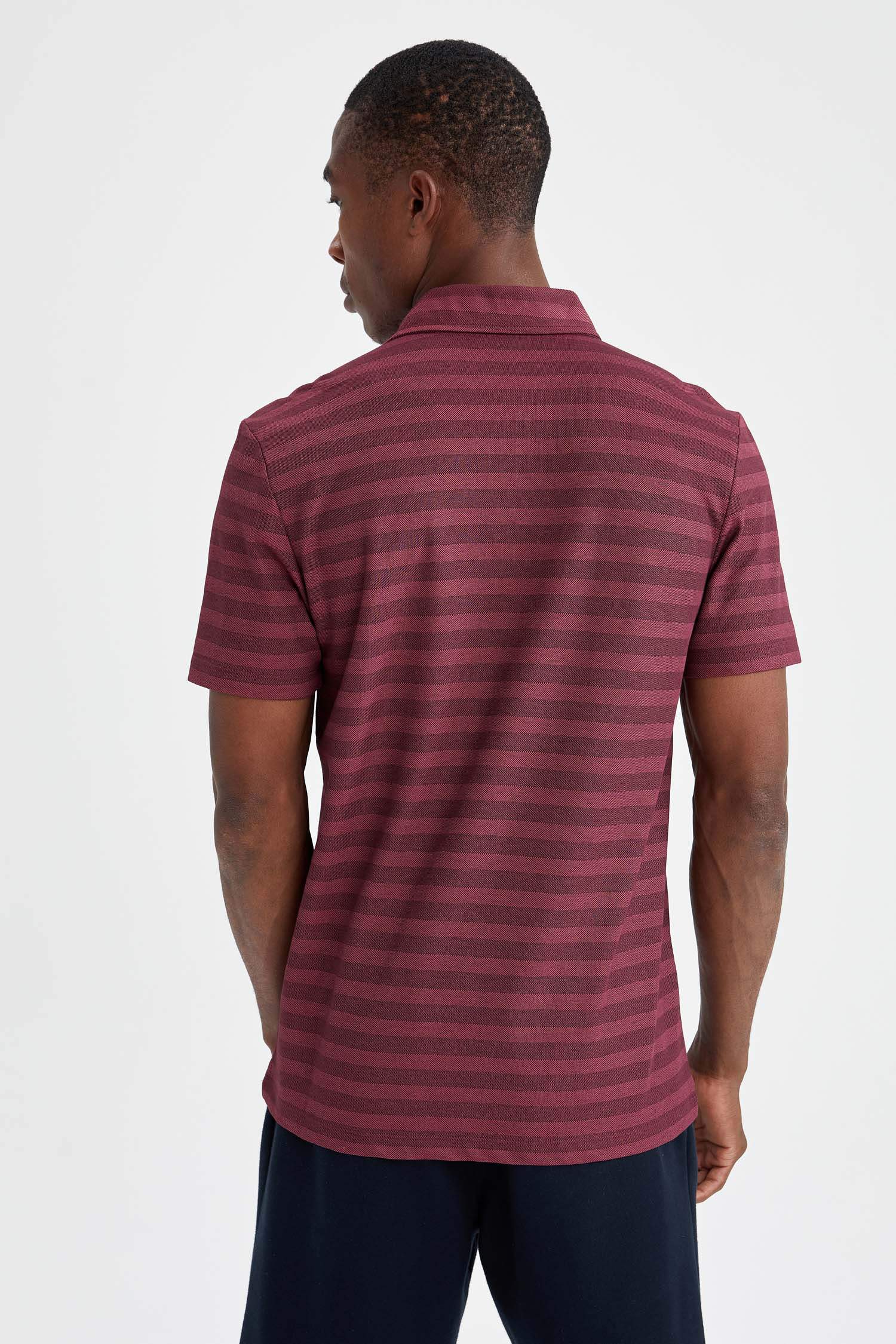 Regular Fit Polo Yaka Çizgi Desenli Kısa Kollu Tişört