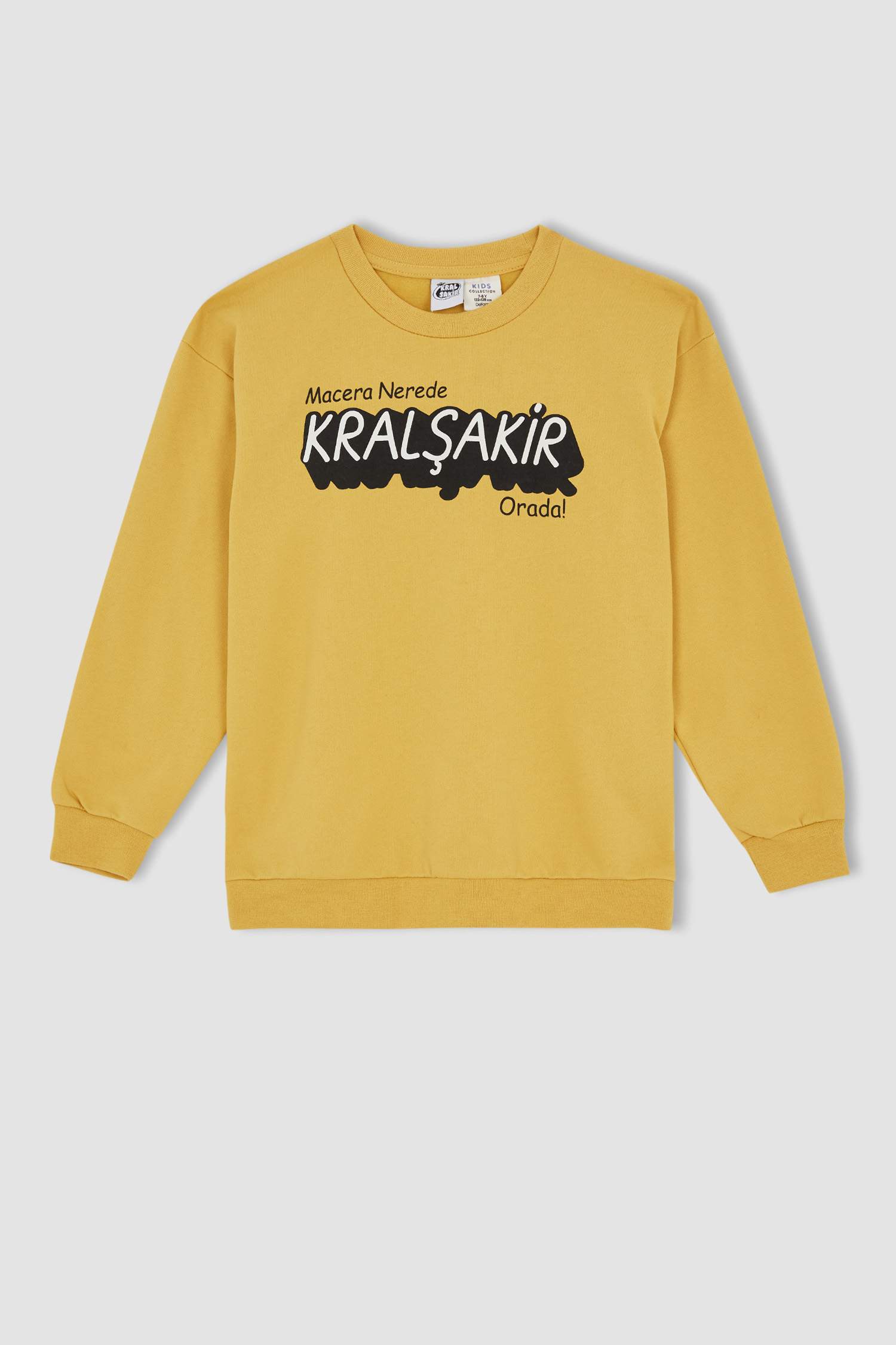 Erkek Çocuk Kral Şakir Lisanslı Relax Fit Bisiklet Yaka Sırt Baskılı İnce Sweatshirt Kumaşı Sweatshirt