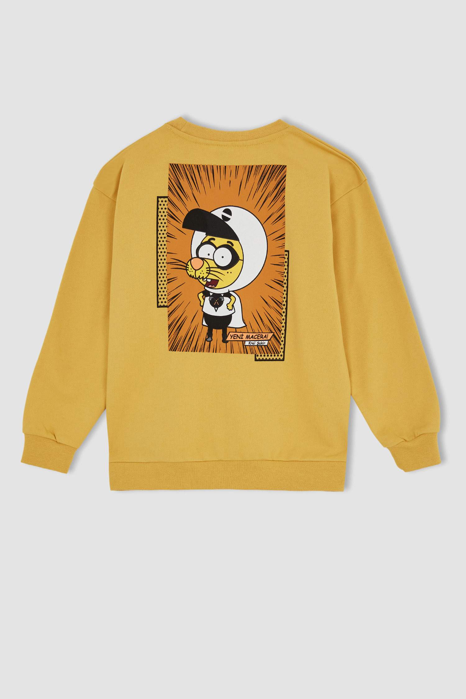 Erkek Çocuk Kral Şakir Lisanslı Relax Fit Bisiklet Yaka Sırt Baskılı İnce Sweatshirt Kumaşı Sweatshirt