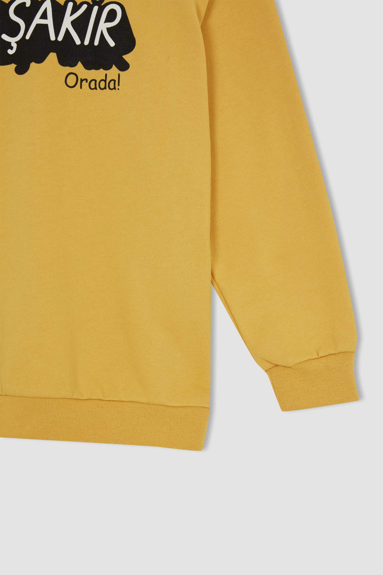 Erkek Çocuk Kral Şakir Lisanslı Relax Fit Bisiklet Yaka Sırt Baskılı İnce Sweatshirt Kumaşı Sweatshirt