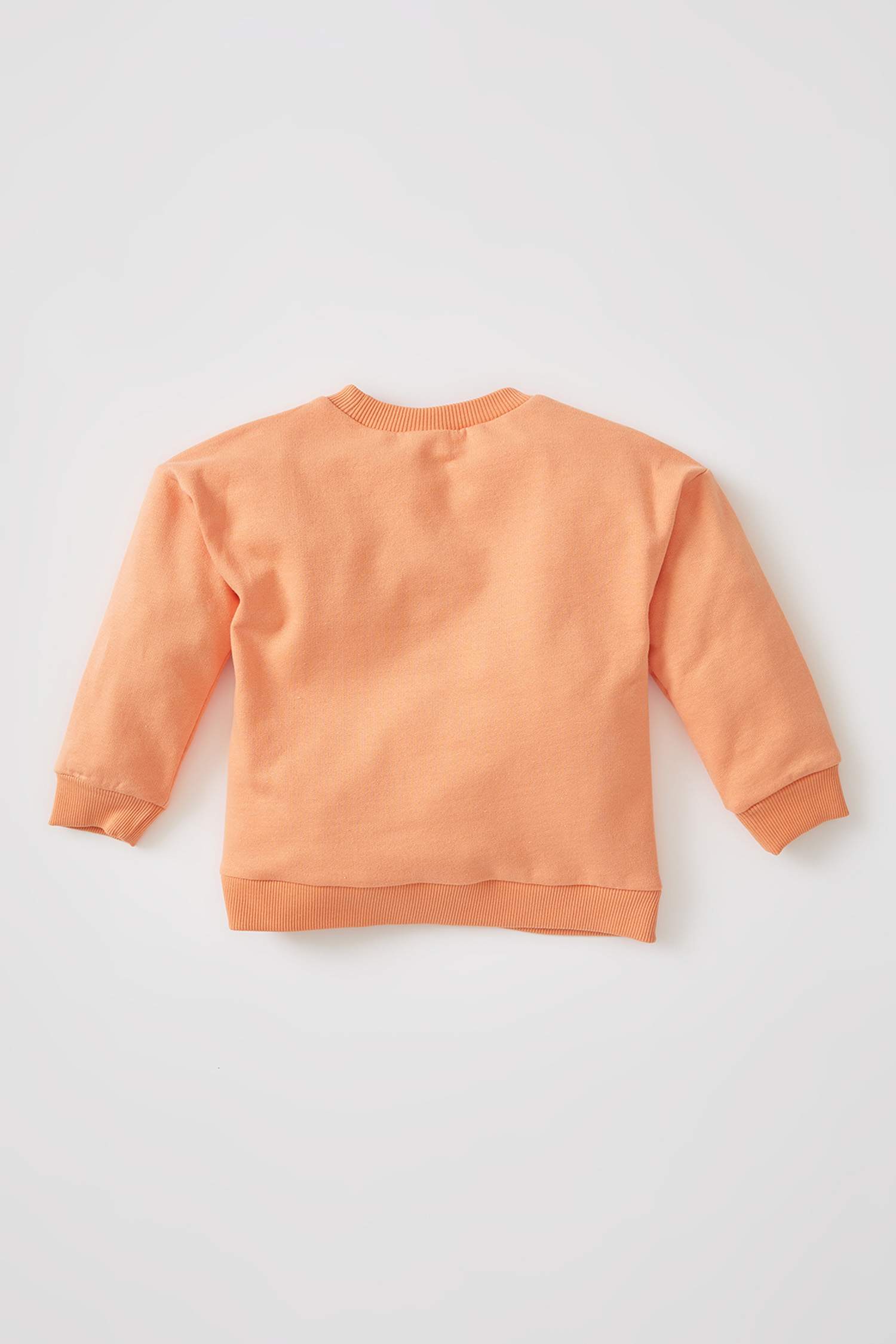 Erkek Bebek Regular Fit Baskılı Sweatshirt