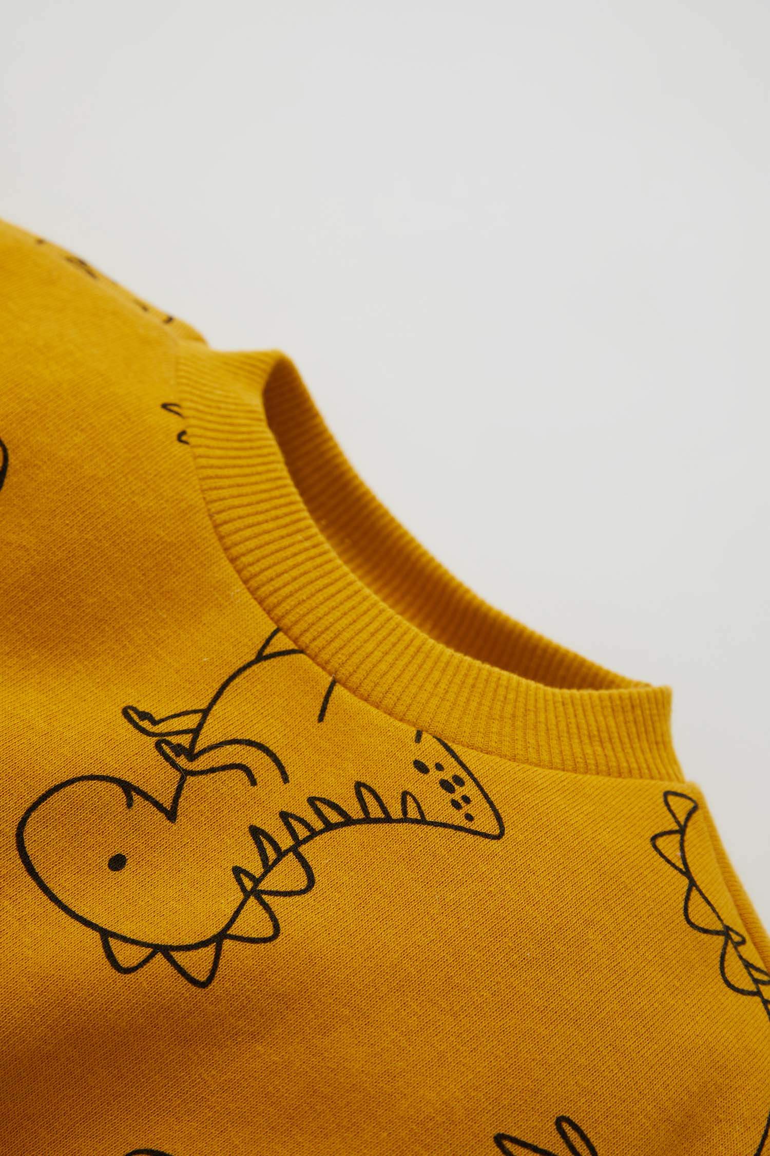 Erkek Bebek Regular Fit Sweatshirt