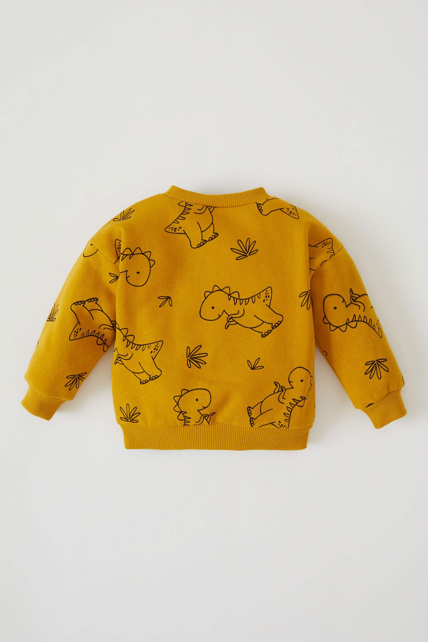 Erkek Bebek Regular Fit Sweatshirt