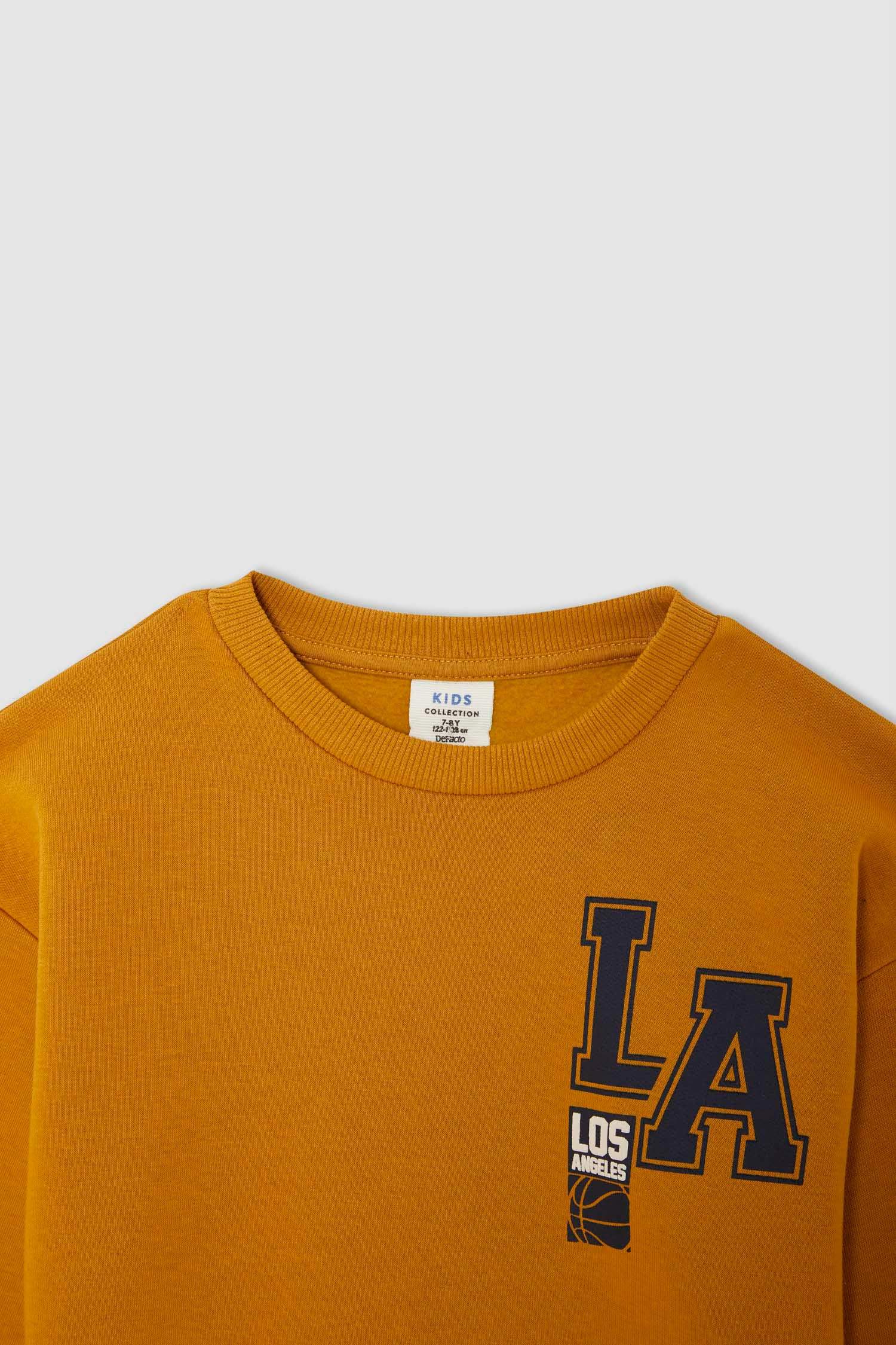 Erkek Çocuk Regular Fit Bisiklet Yaka Baskılı İçi Yumuşak Tüylü Sweatshirt