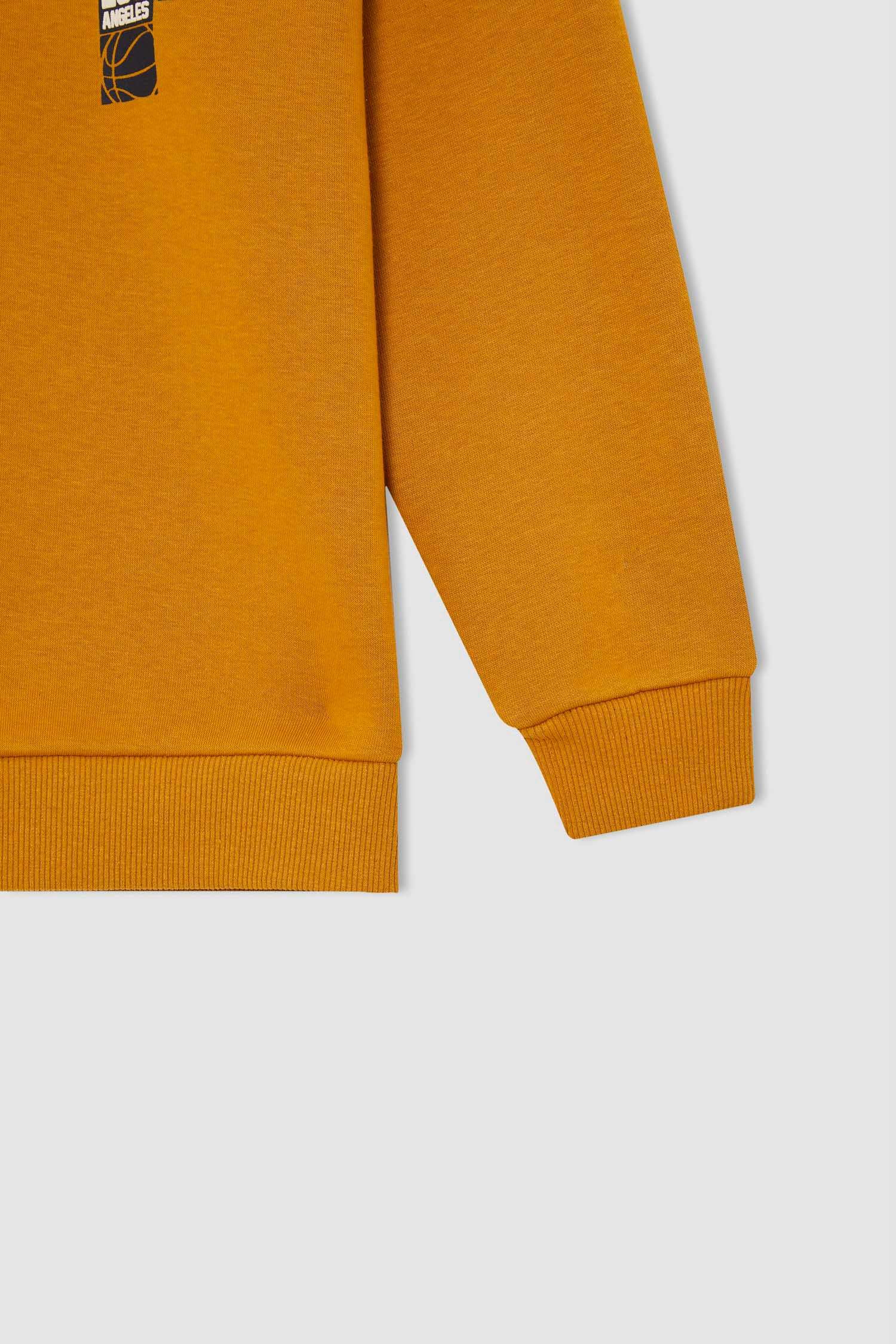 Erkek Çocuk Regular Fit Bisiklet Yaka Baskılı İçi Yumuşak Tüylü Sweatshirt