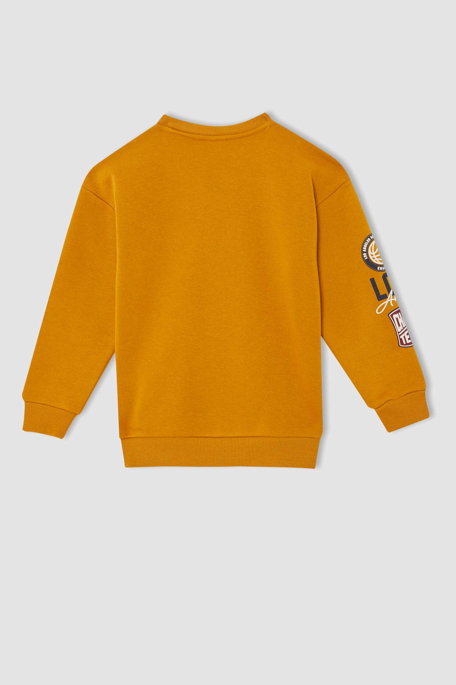 Erkek Çocuk Regular Fit Bisiklet Yaka Baskılı İçi Yumuşak Tüylü Sweatshirt