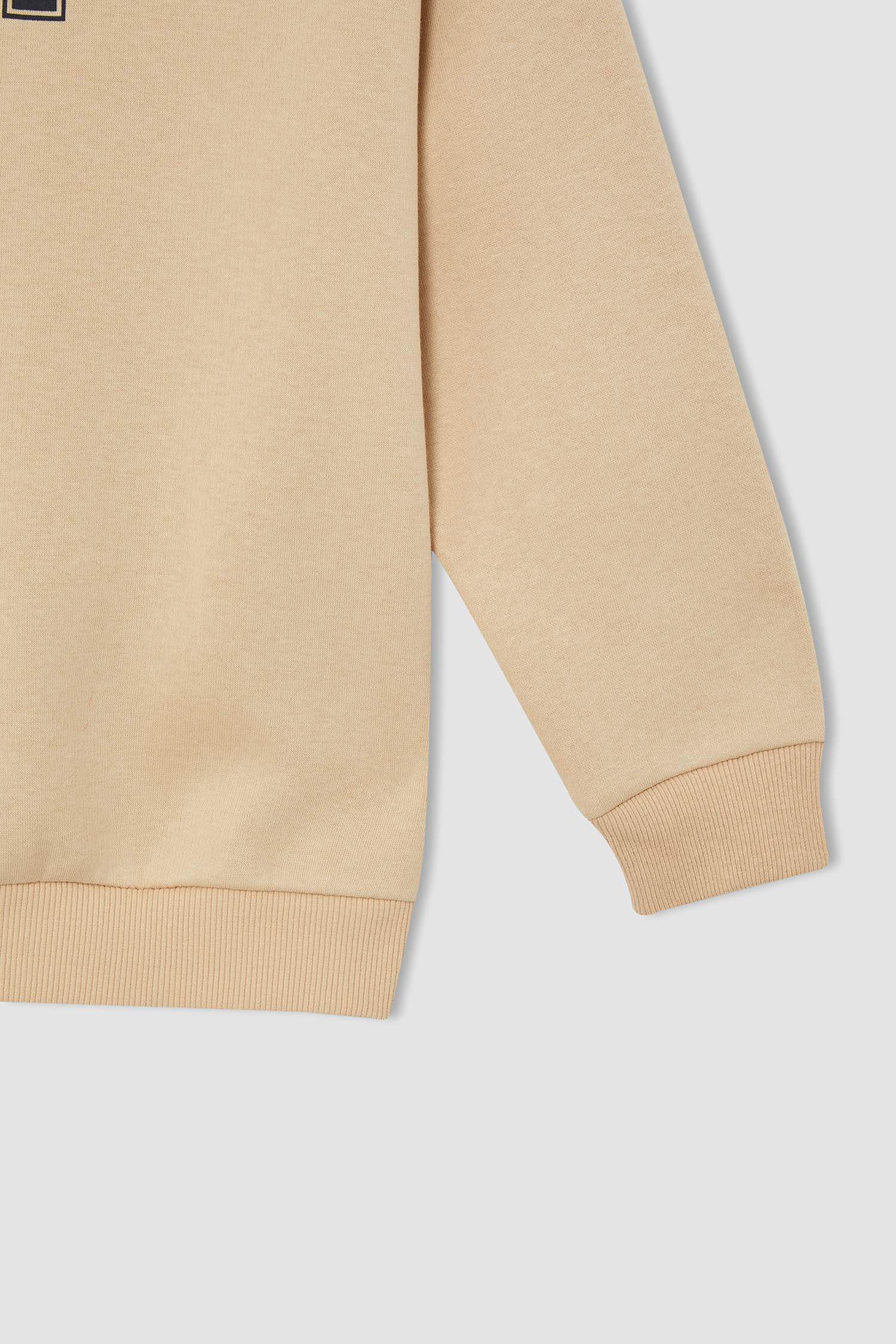 Erkek Çocuk Regular Fit Kapüşonlu Baskılı İçi Yumuşak Tüylü Sweatshirt