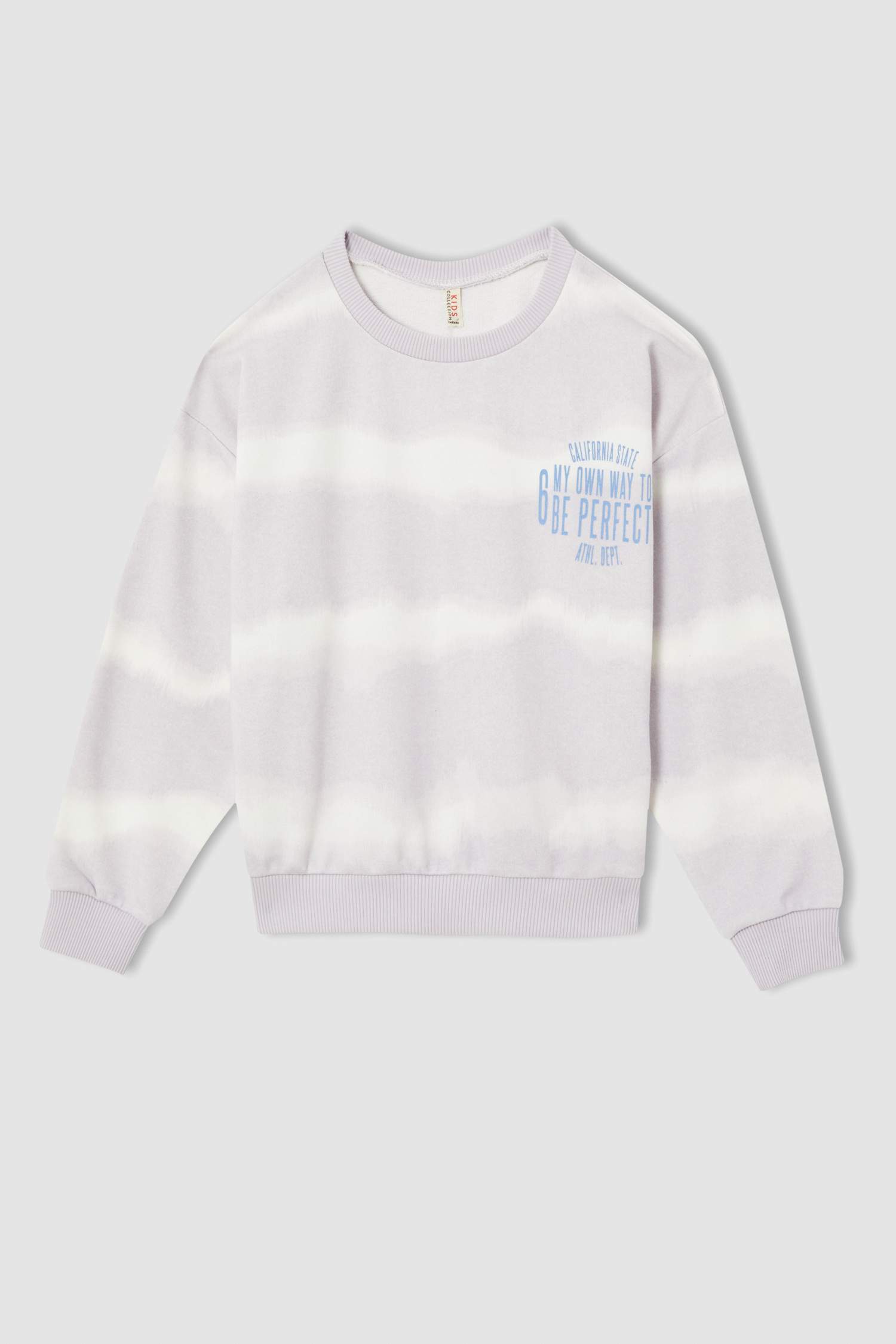 Kız Çocuk Regular Fit Bisiklet Yaka Sweatshirt