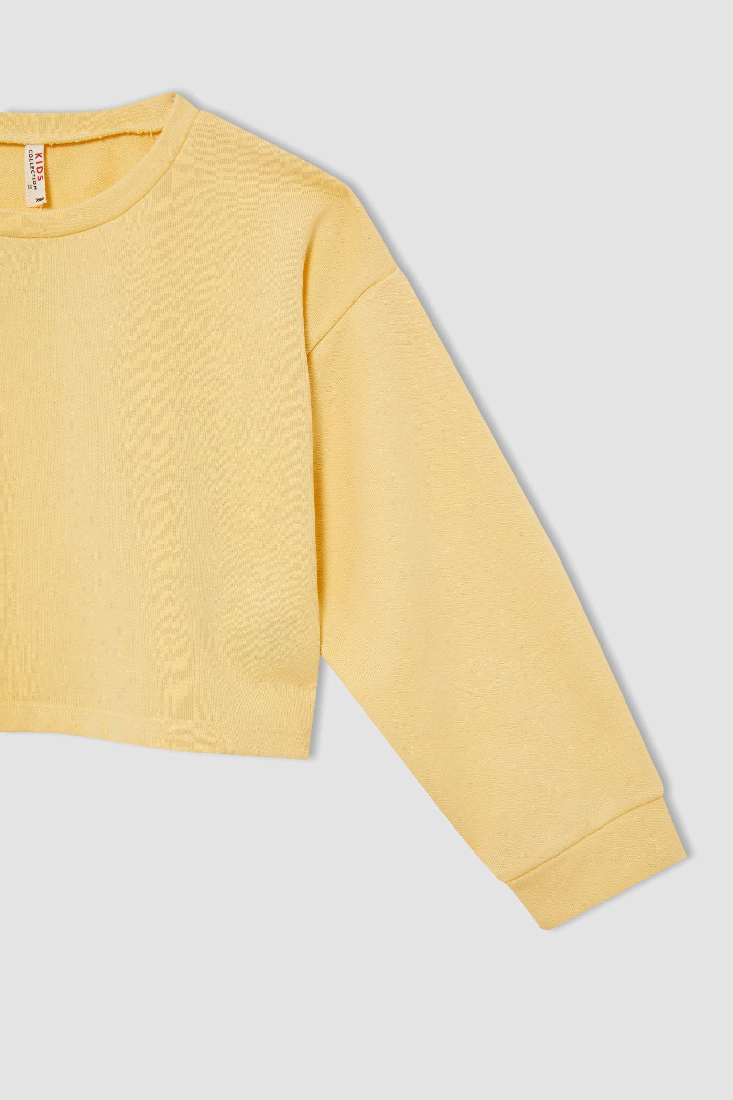 Kız Çocuk Regular Fit Bisiklet Yaka Baskılı Sweatshirt