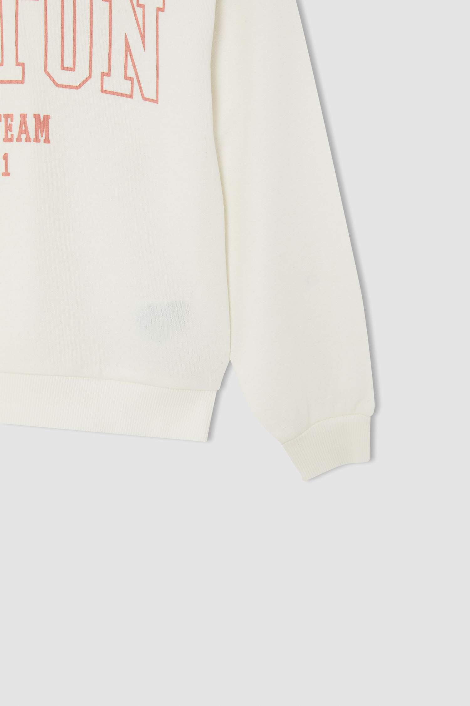 Kız Çocuk Regular Fit Bisiklet Yaka Baskılı Sweatshirt
