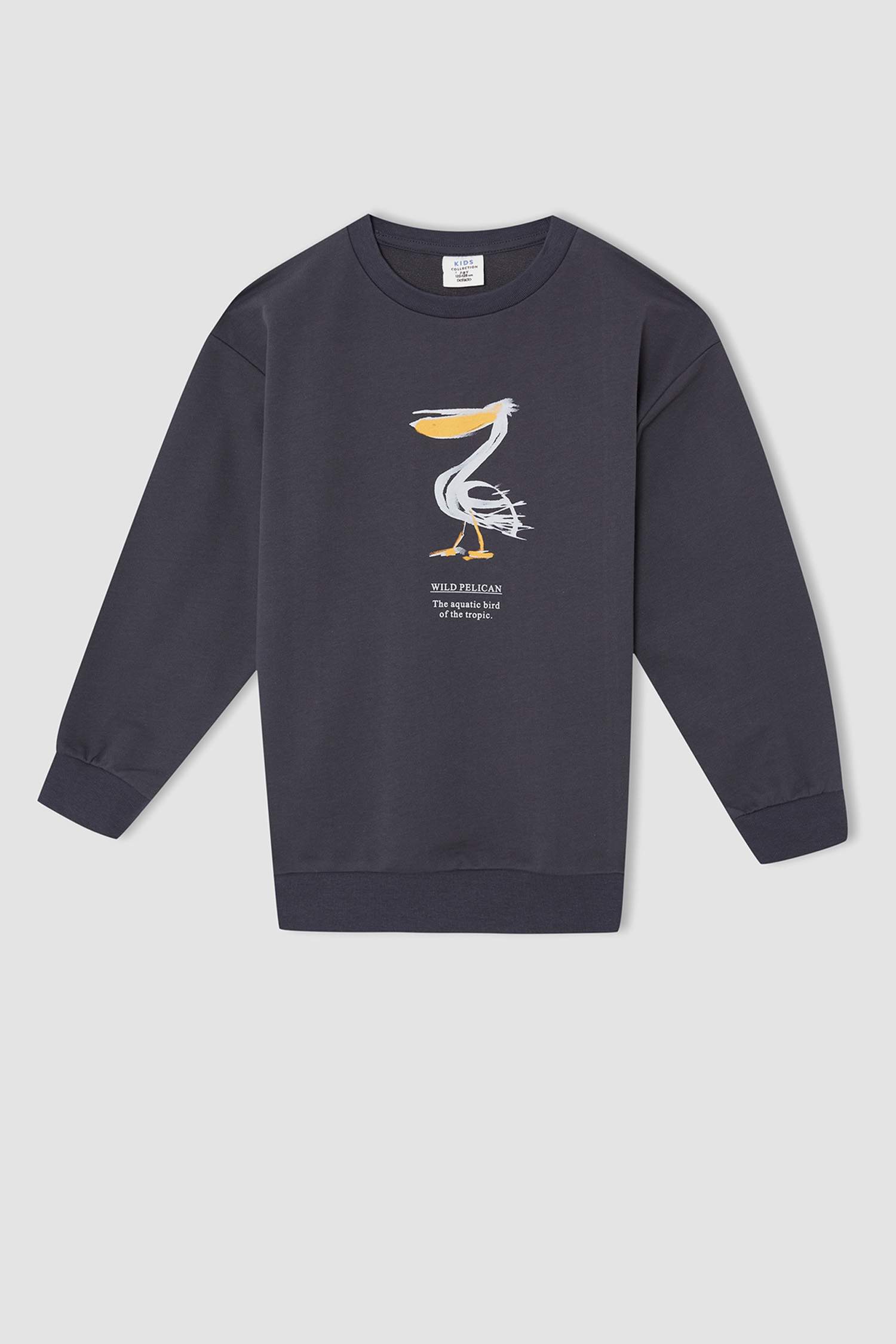 Erkek Çocuk Oversize Hayvan Desenli Bisiklet Yaka Sweatshirt