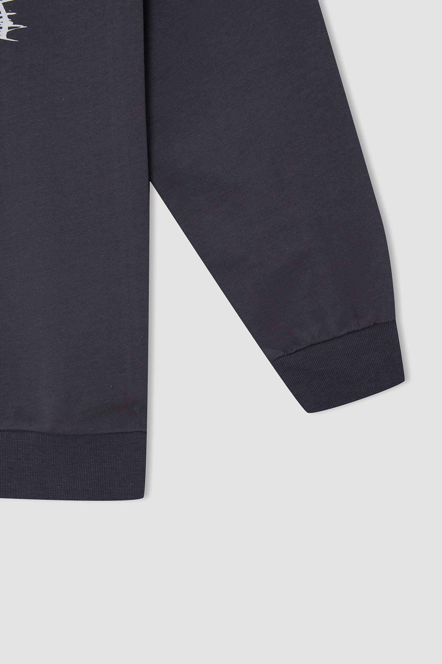 Erkek Çocuk Oversize Hayvan Desenli Bisiklet Yaka Sweatshirt