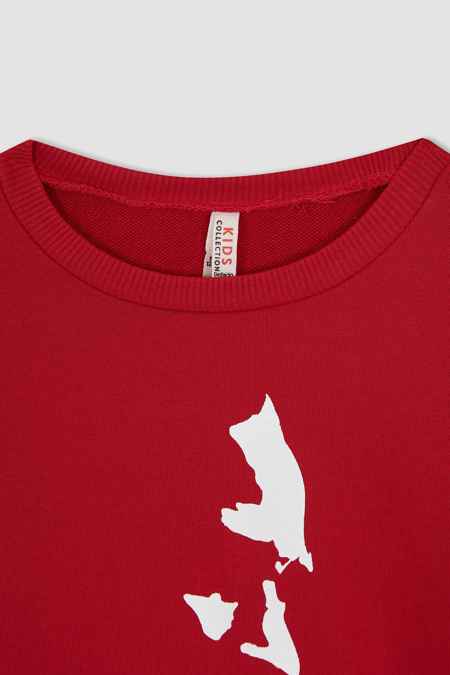 Kız Çocuk Regular Fit 29 Ekim Atatürk Baskılı Bisiklet Yaka Sweatshirt