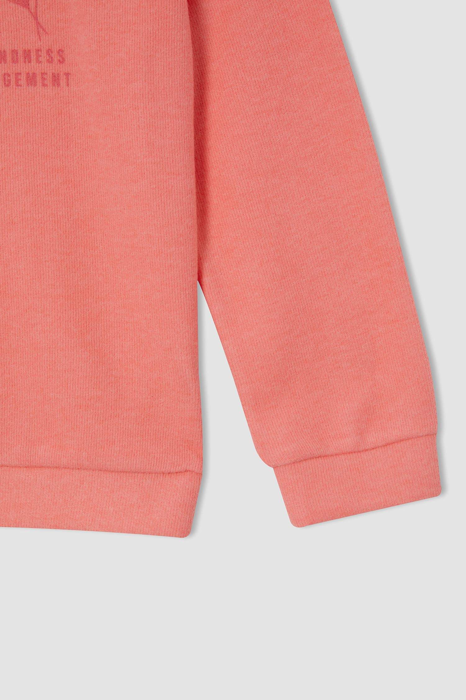 Kız Çocuk Regular Fit Bisiklet Yaka Baskılı Selanik Kumaş Sweatshirt