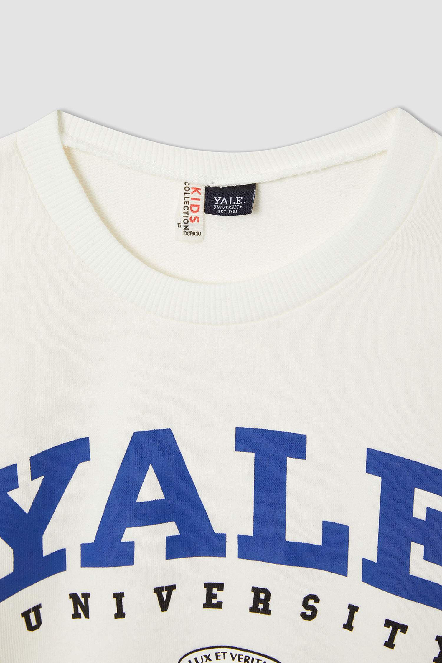 Kız Çocuk Yale University Lisanslı Regular Fit Bisiklet Yaka Sweatshirt