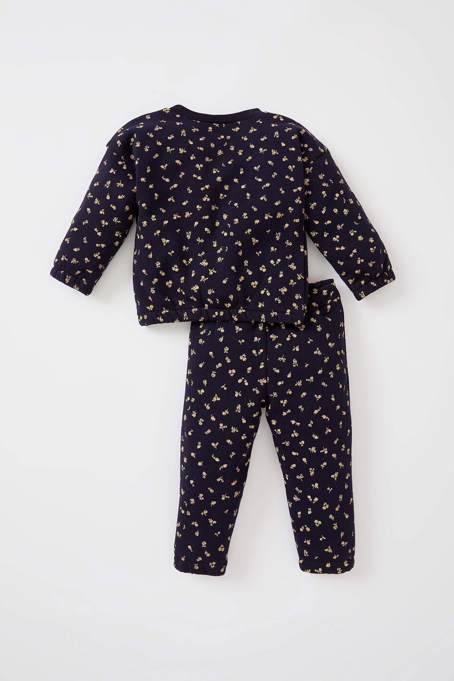 Kız Bebek Regular Fit Desenli Uzun Kollu 2'li Takım