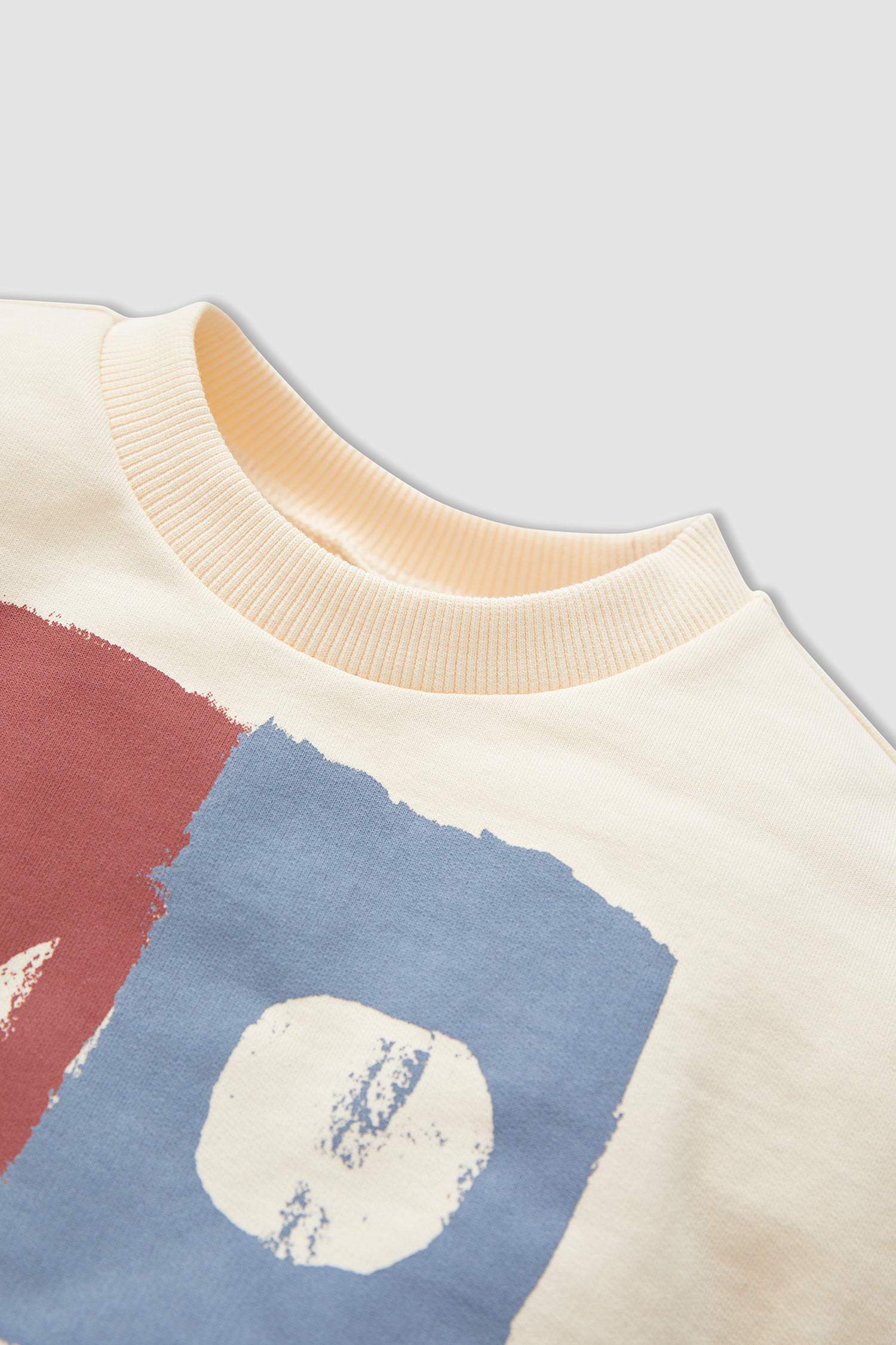 Erkek Bebek Regular Fit Sweatshirt