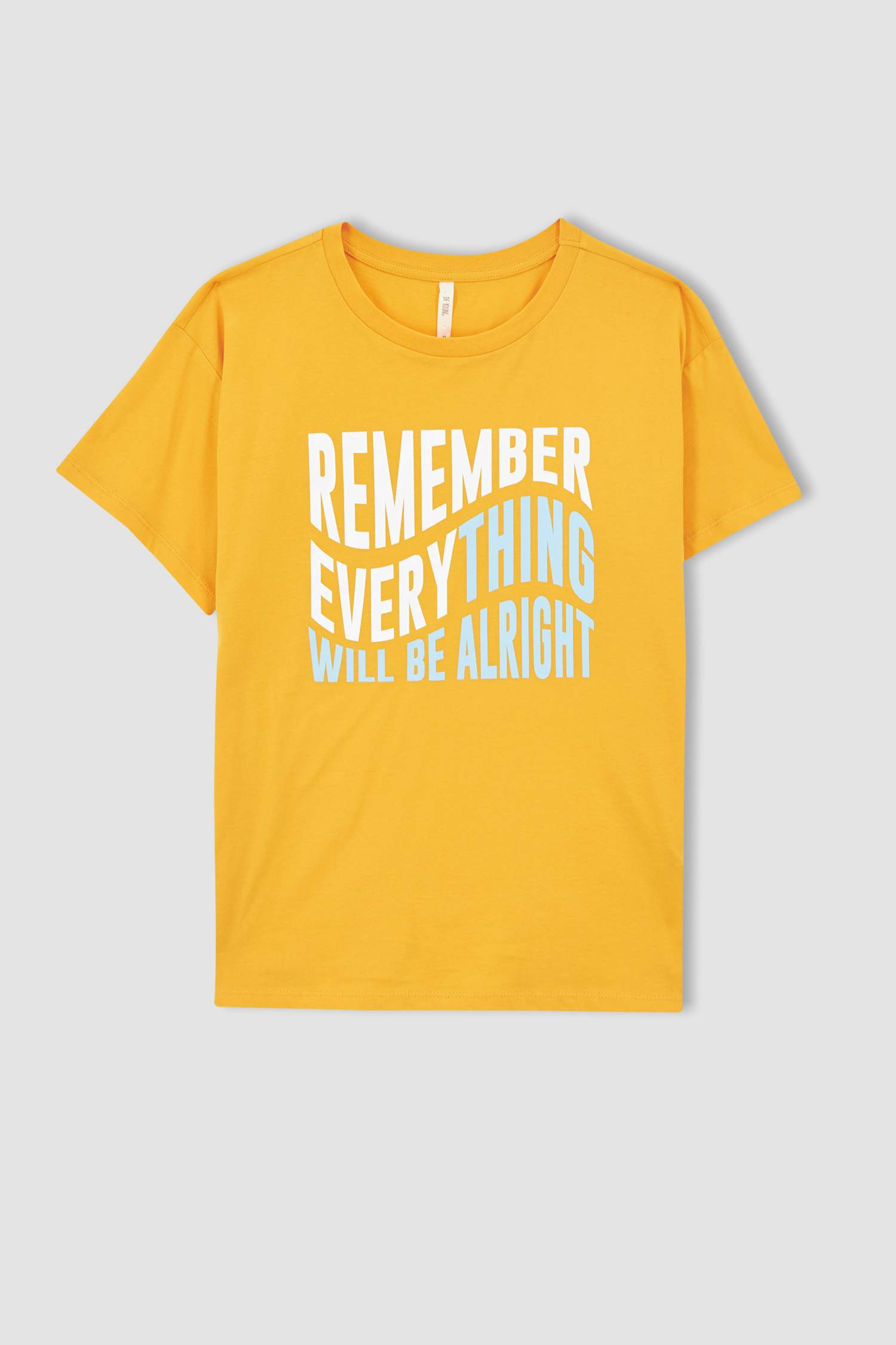 Regular Fit Bisiklet Yaka Slogan Baskılı Kısa Kollu Tişört