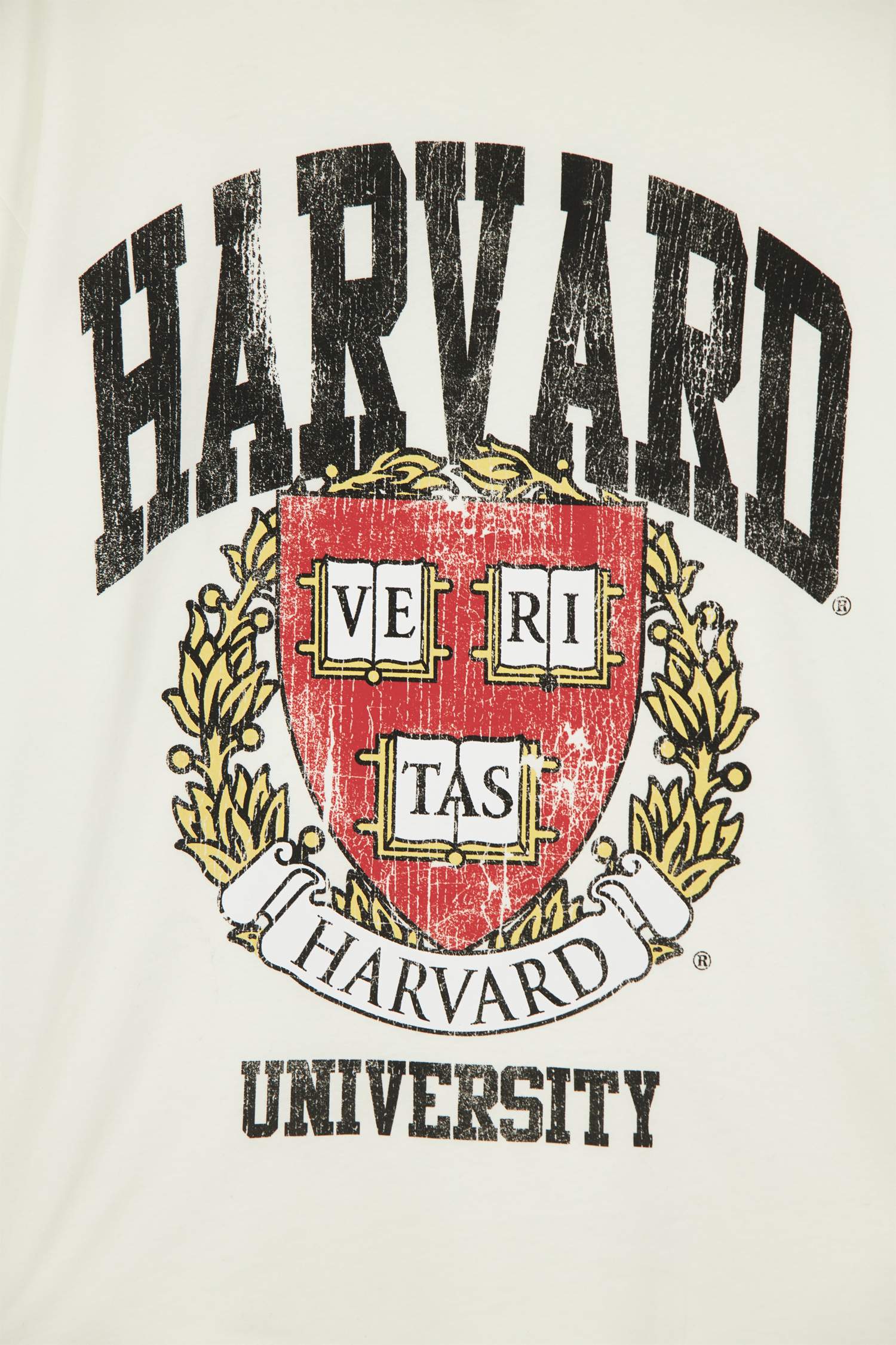 Harvard University Lisanslı Oversize Fit Bisiklet Yaka Baskılı Kısa Kollu Tişört