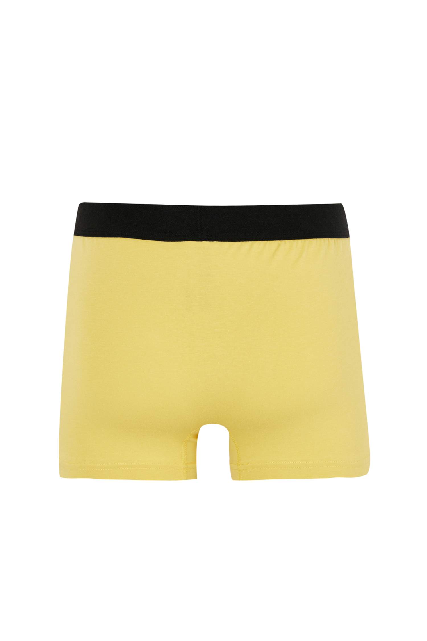 Defacto Fit Regular Fit Pamuk Elastan Örme Boxer