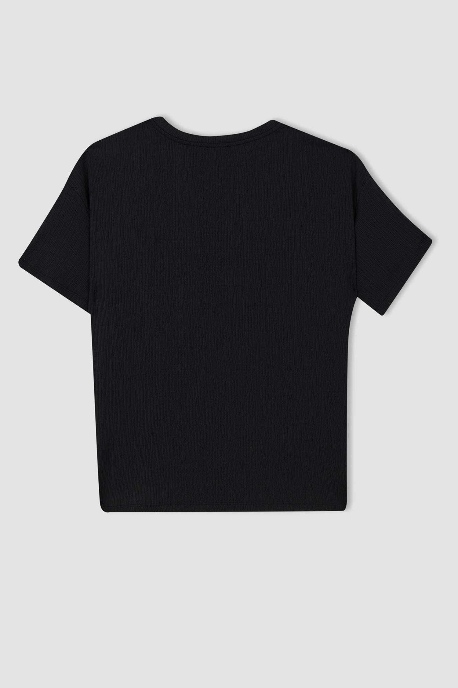 DF Plus Slim Fit Bisiklet Yaka Büyük Beden Kısa Kollu Bluz