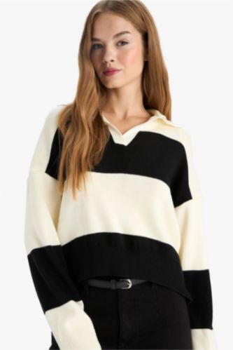 Regular Fit Polo Collar Pullover