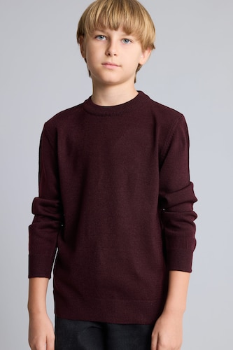 Young Boys - Teen Boys Bordeaux Boy Regular Fit Crew Neck Pullover