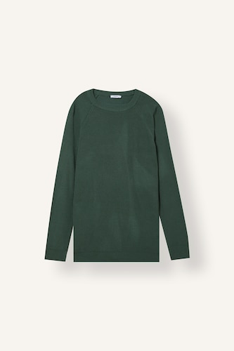 HOMME Vert Pull en tricot basic à col rond et manches longues Coupe standard
