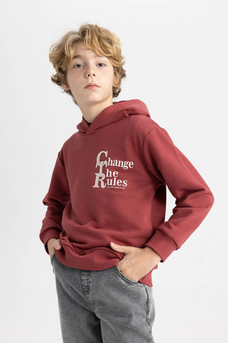 Boy Regular Fit Hooded Printed Sweatshirt